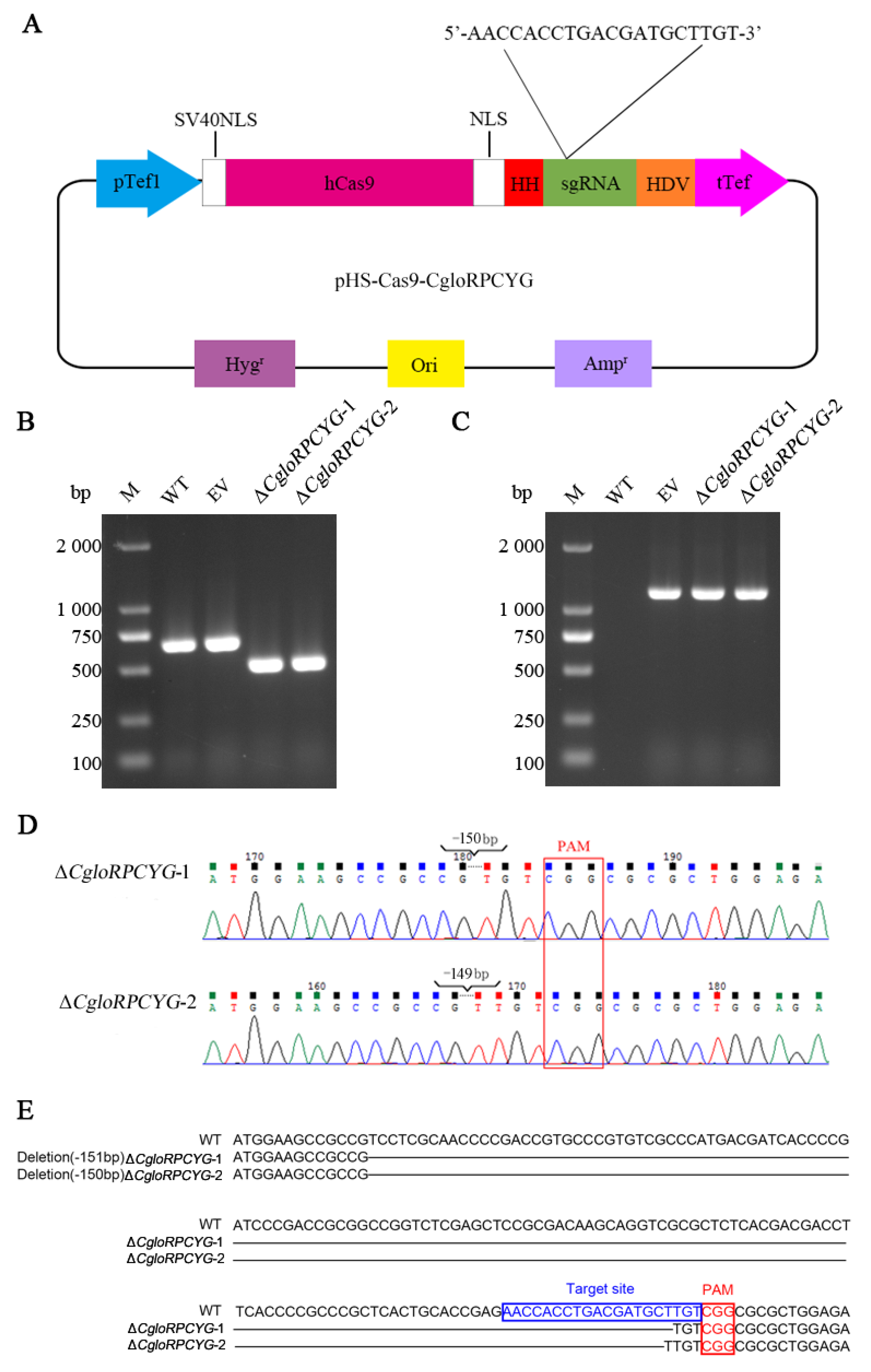Agronomy 13 01681 g002