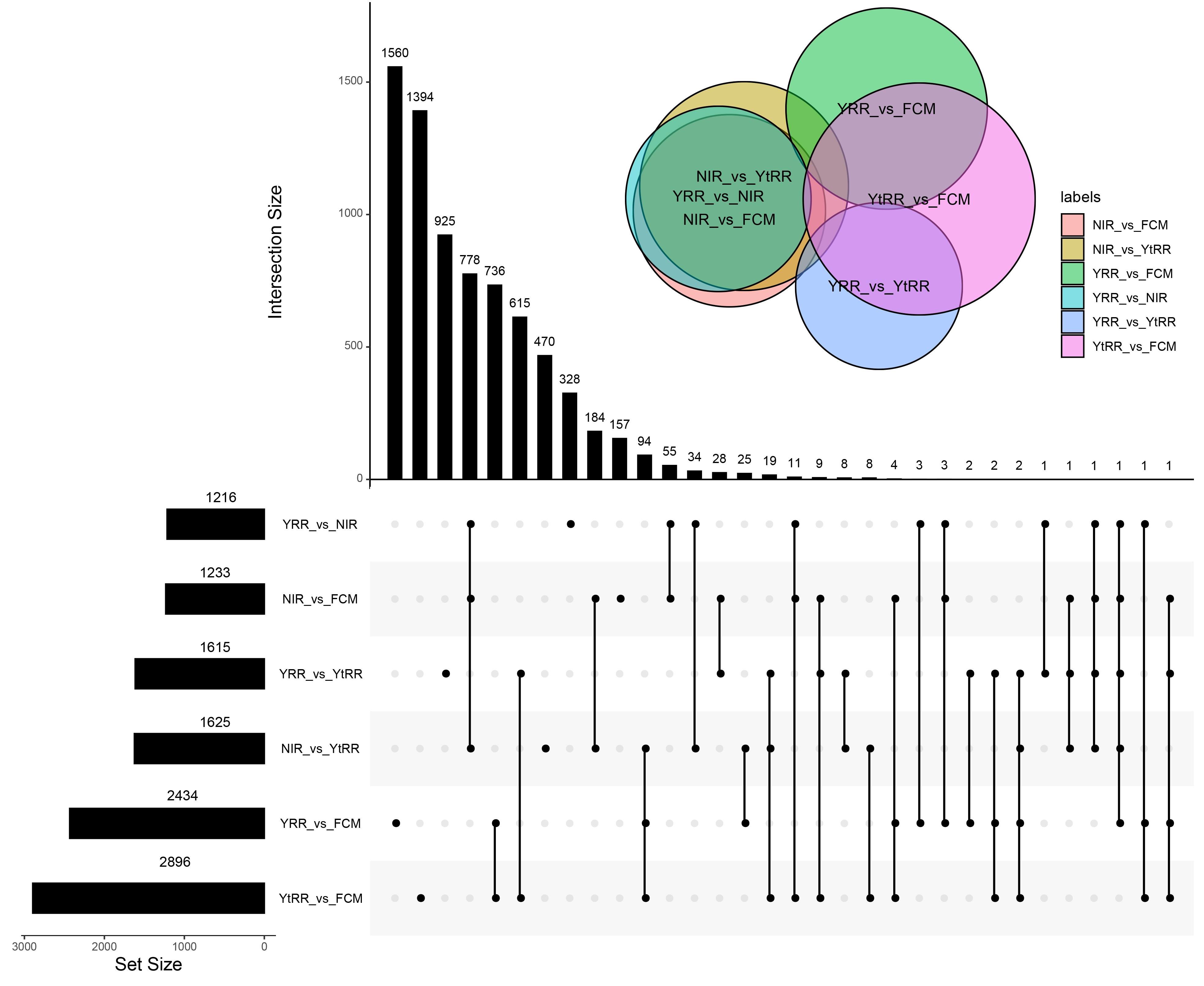 Agronomy 13 01781 g004 Agronomy 13 01781 g004