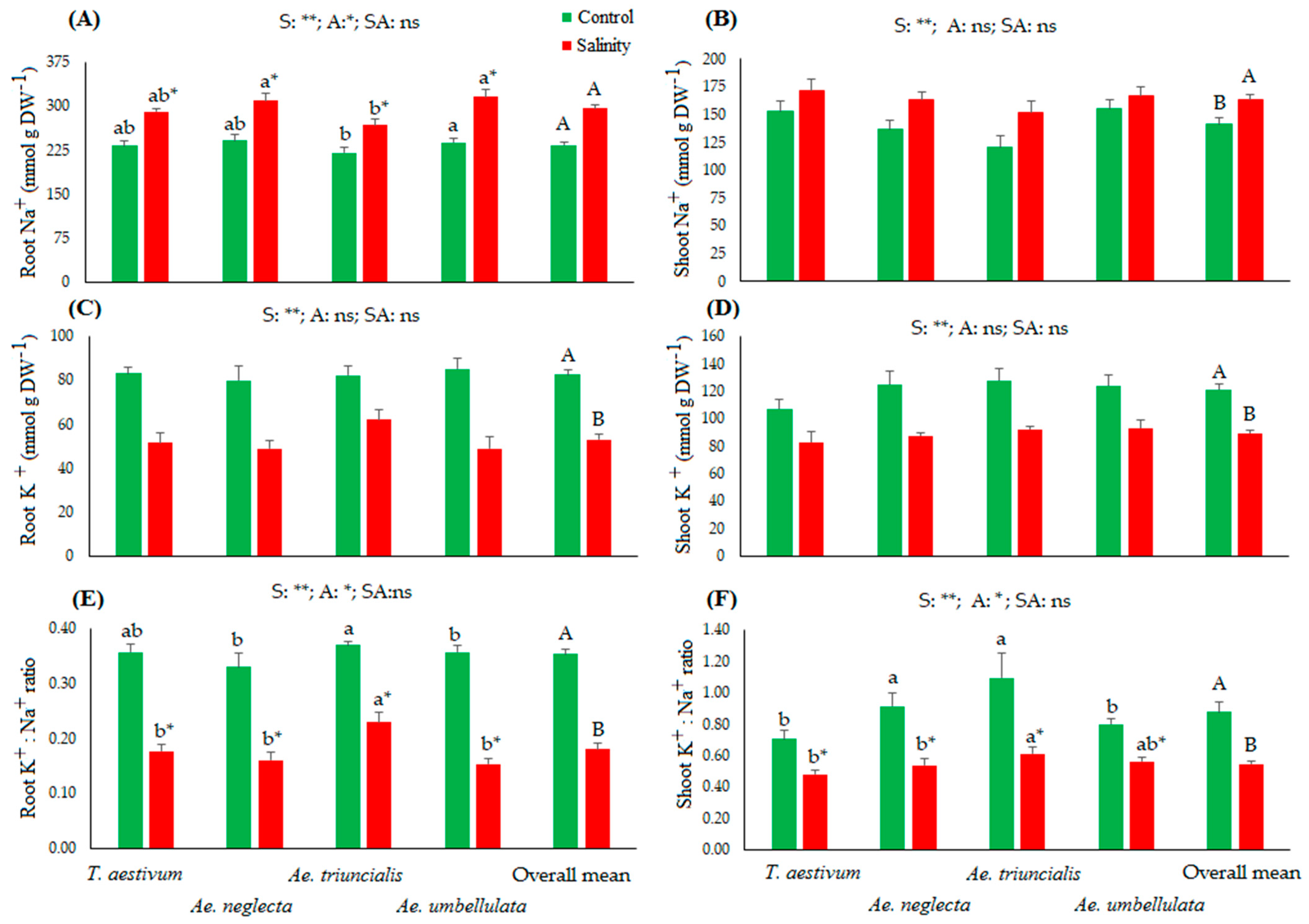 Agronomy 13 01981 g002