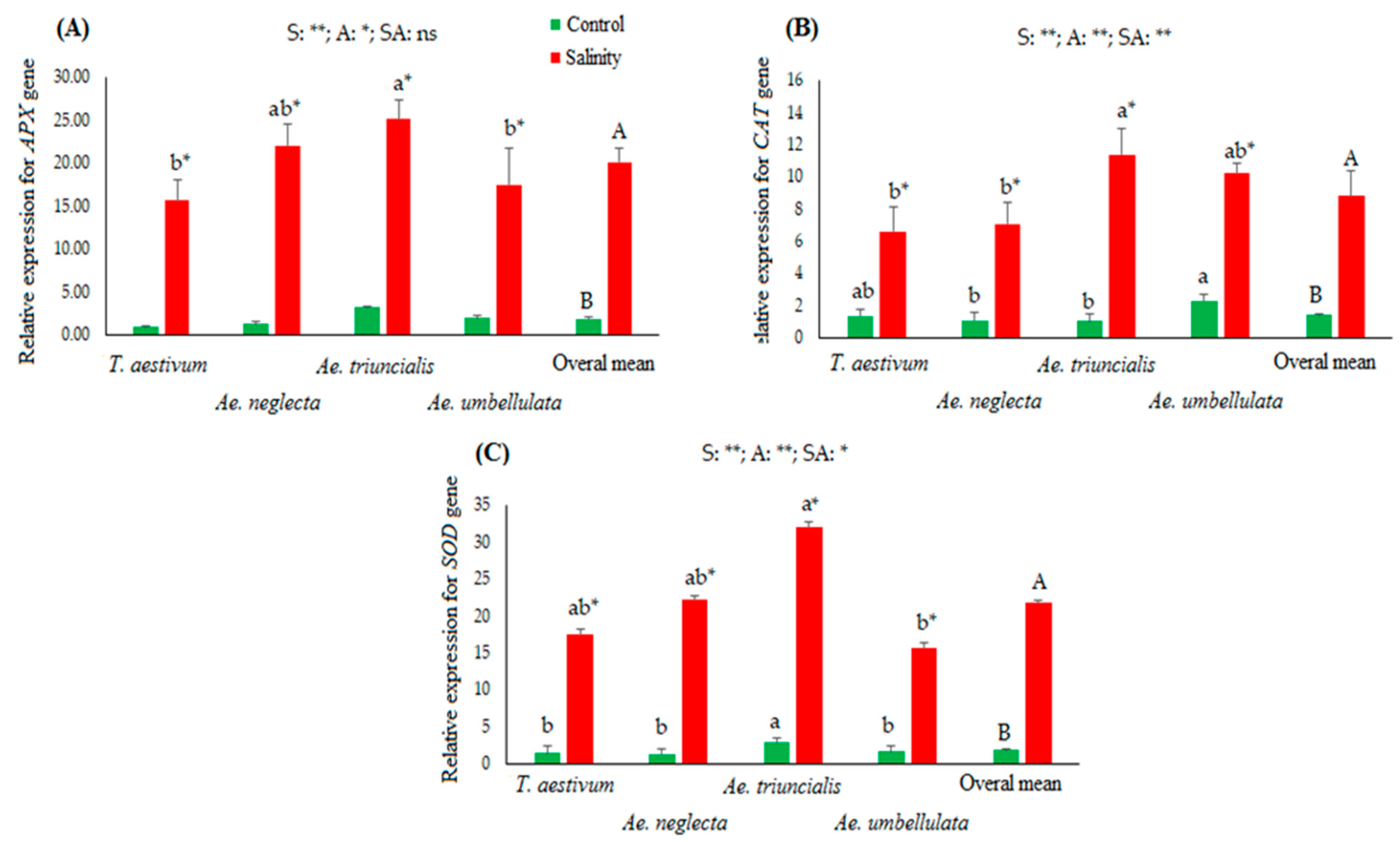 Agronomy 13 01981 g004