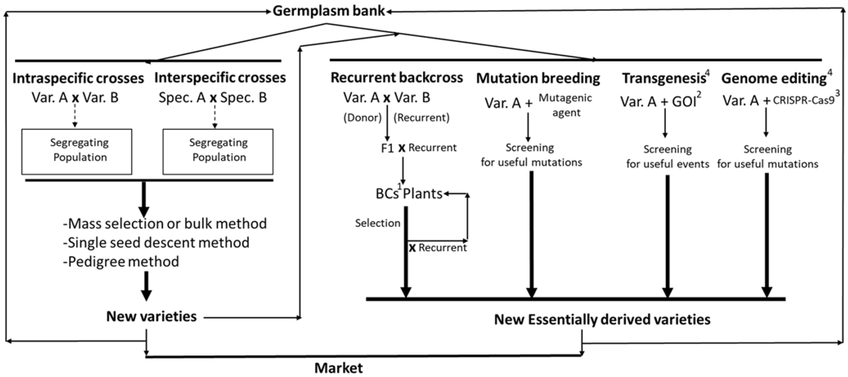 Agronomy 13 02076 g002