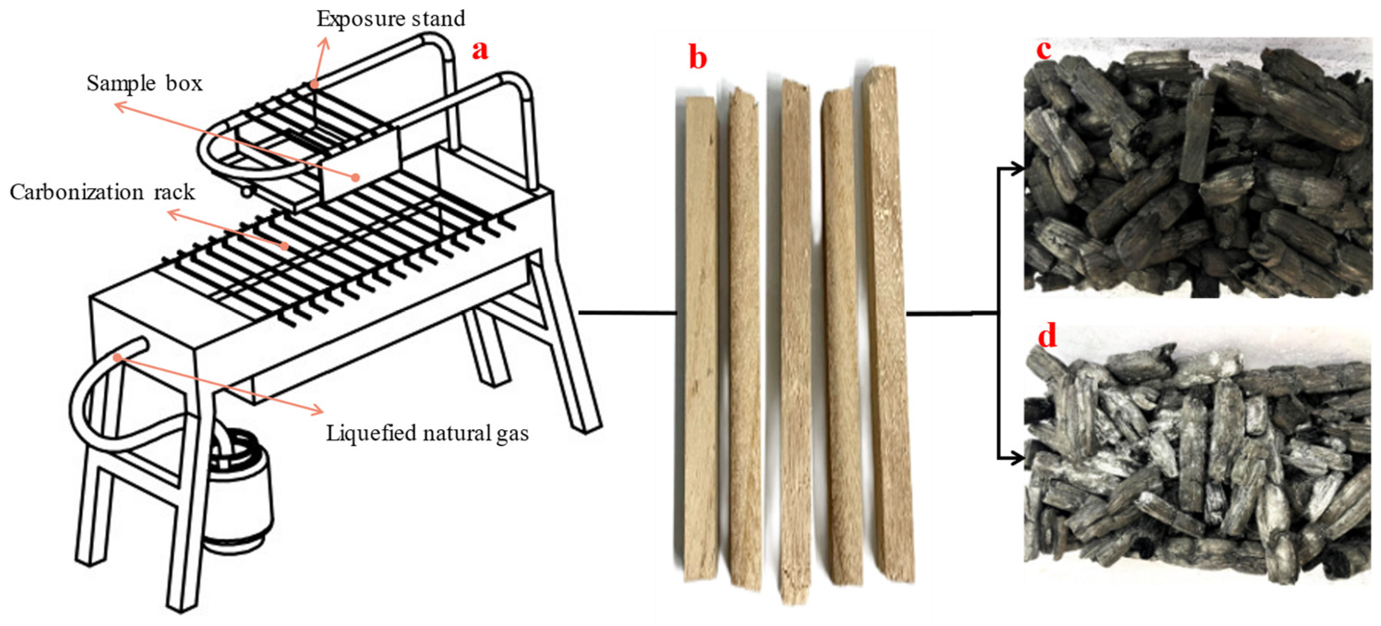 Agronomy 13 02361 g001