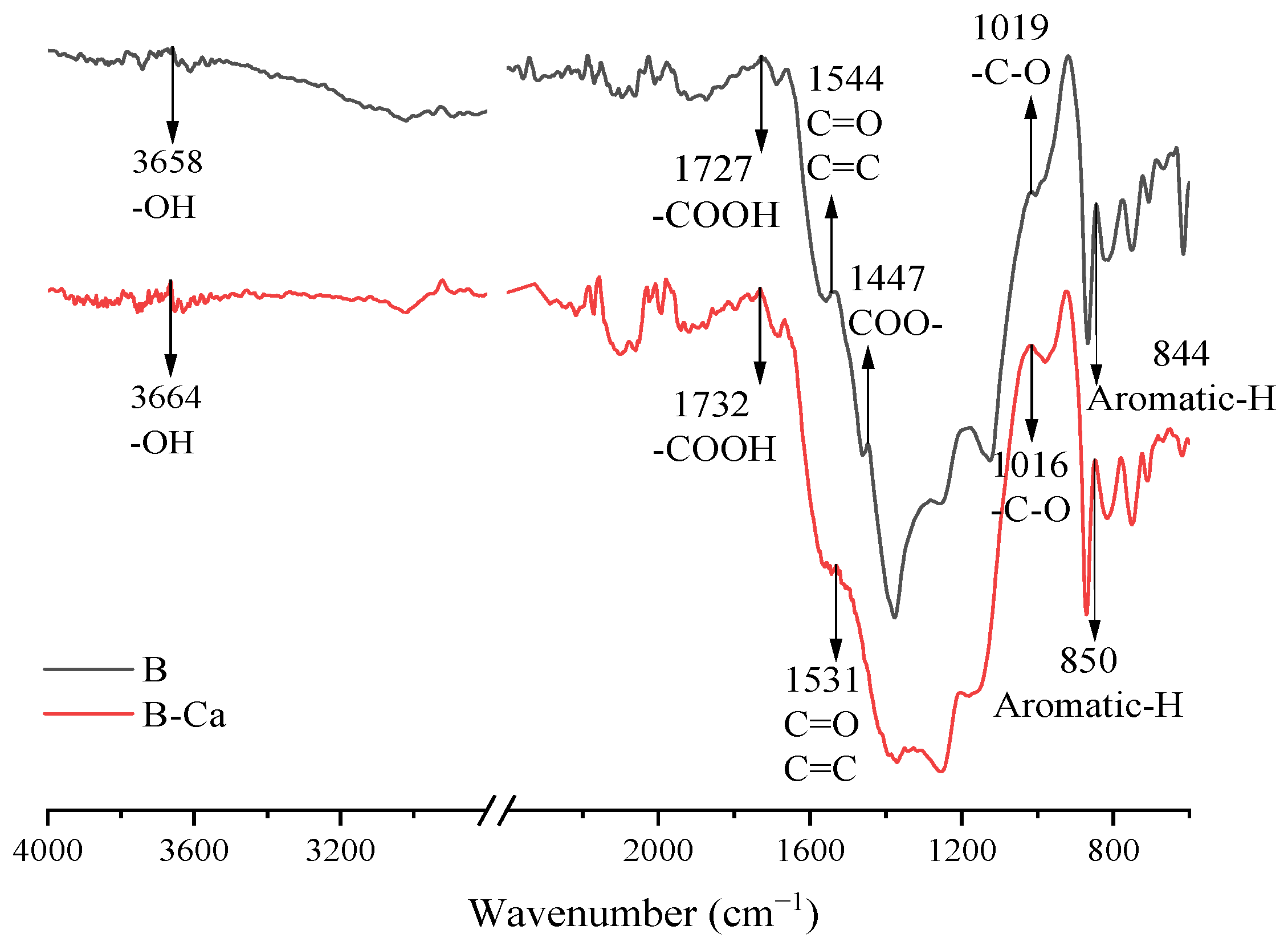 Agronomy 13 02361 g006
