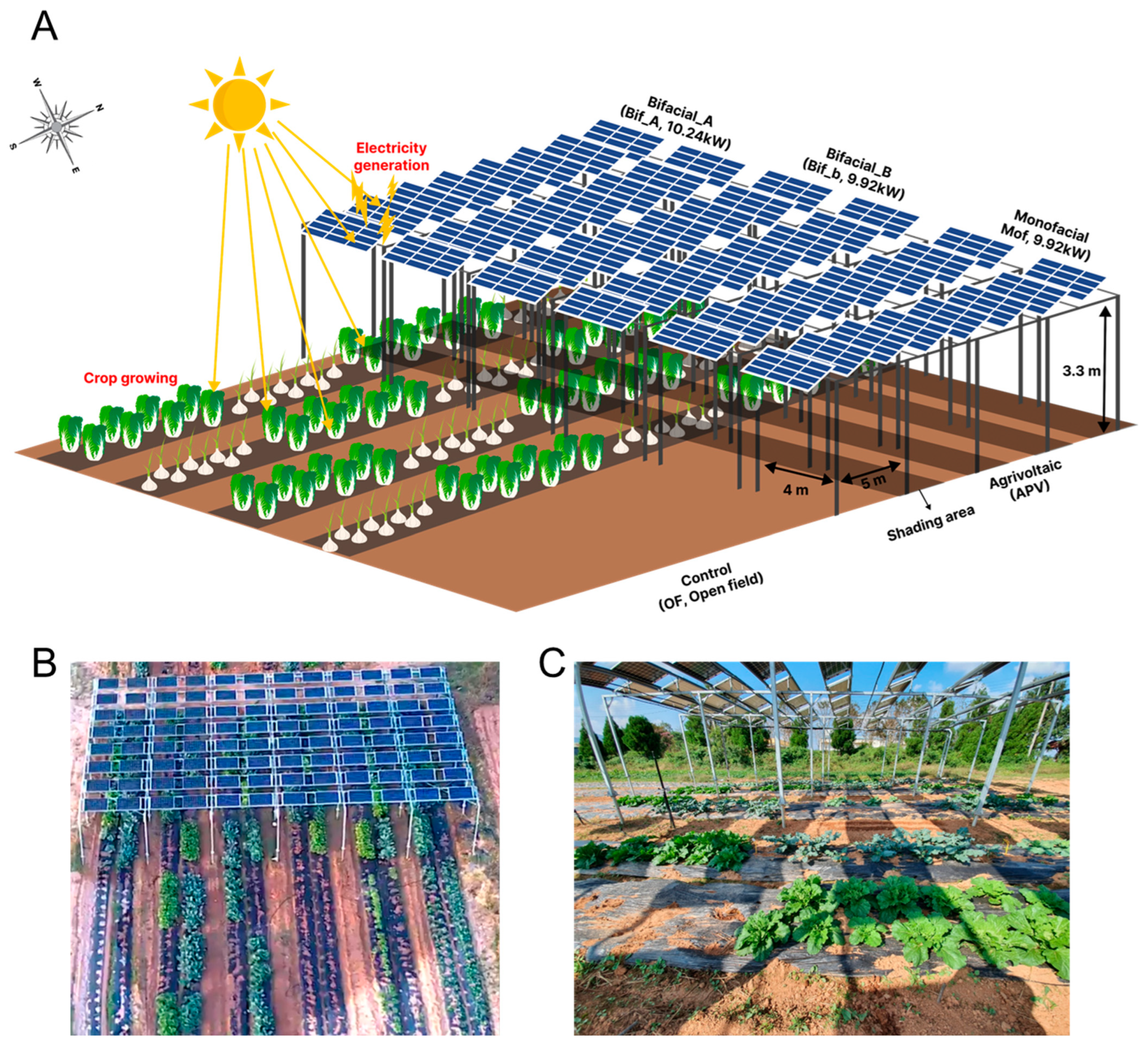 Agronomy 13 02625 g001