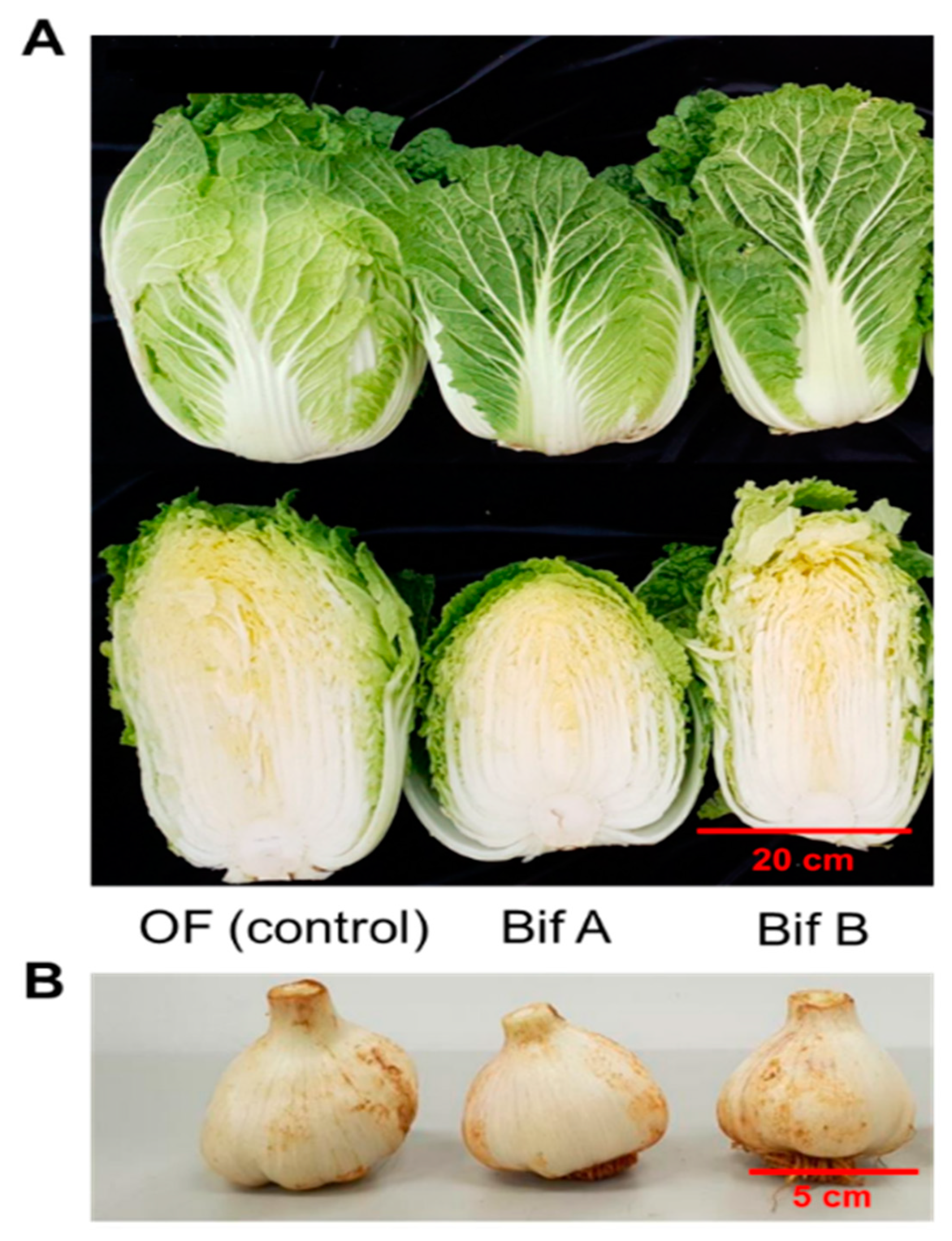 Agronomy 13 02625 g004