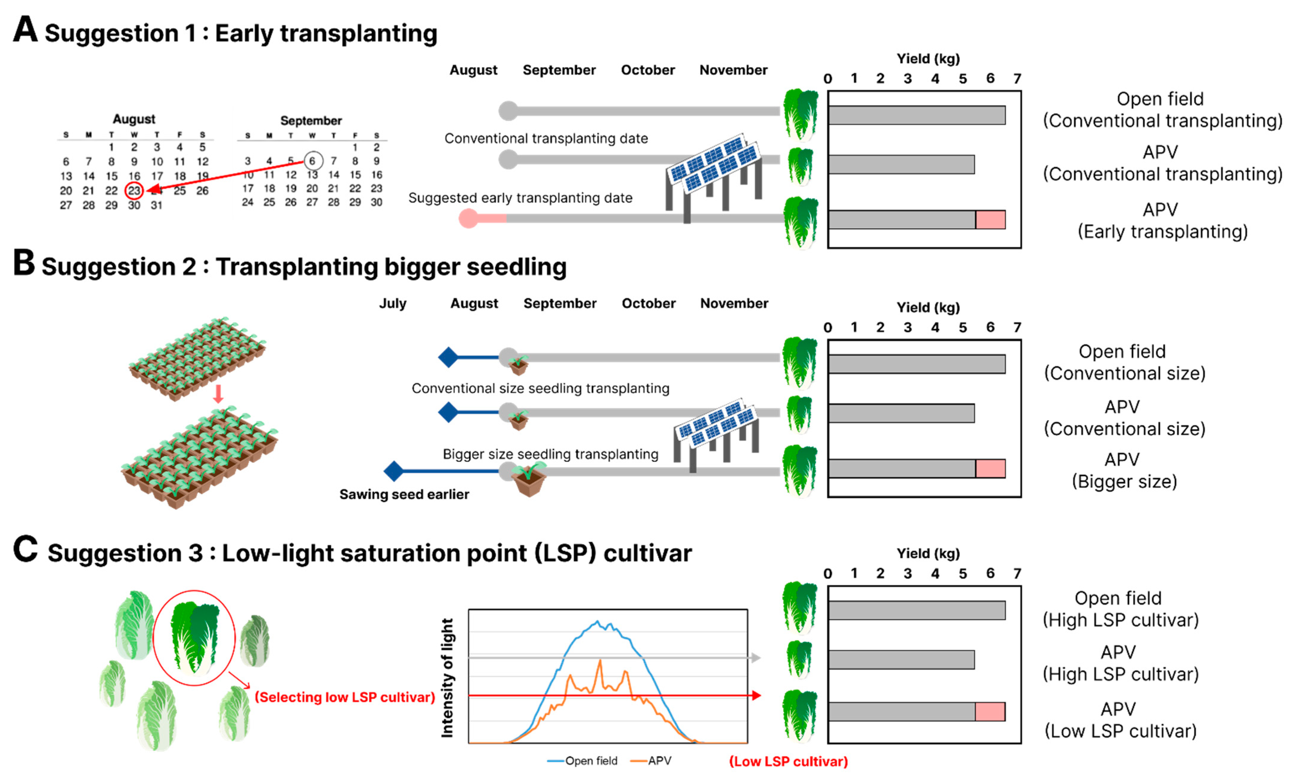 Agronomy 13 02625 g007