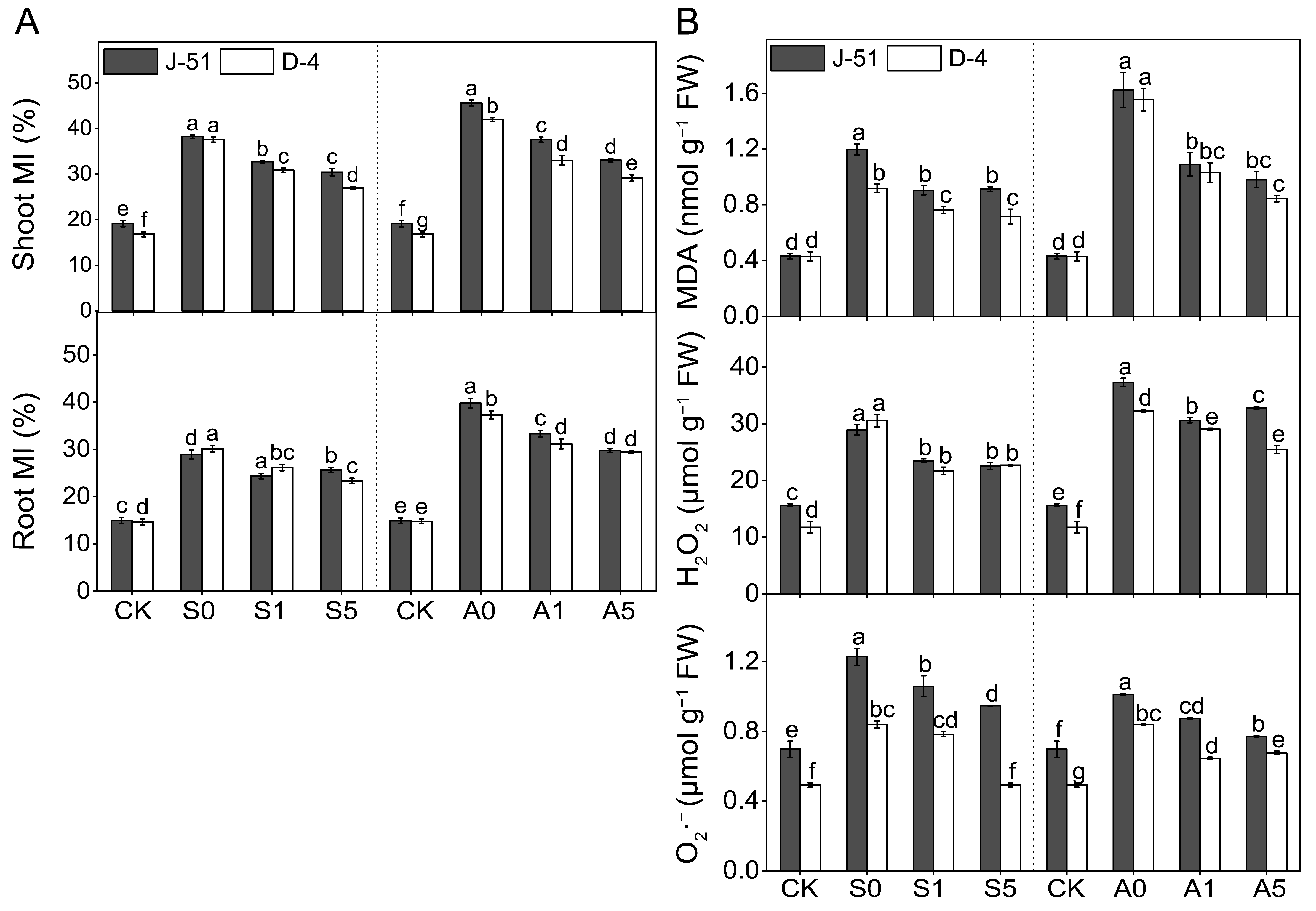 Agronomy 13 02698 g004