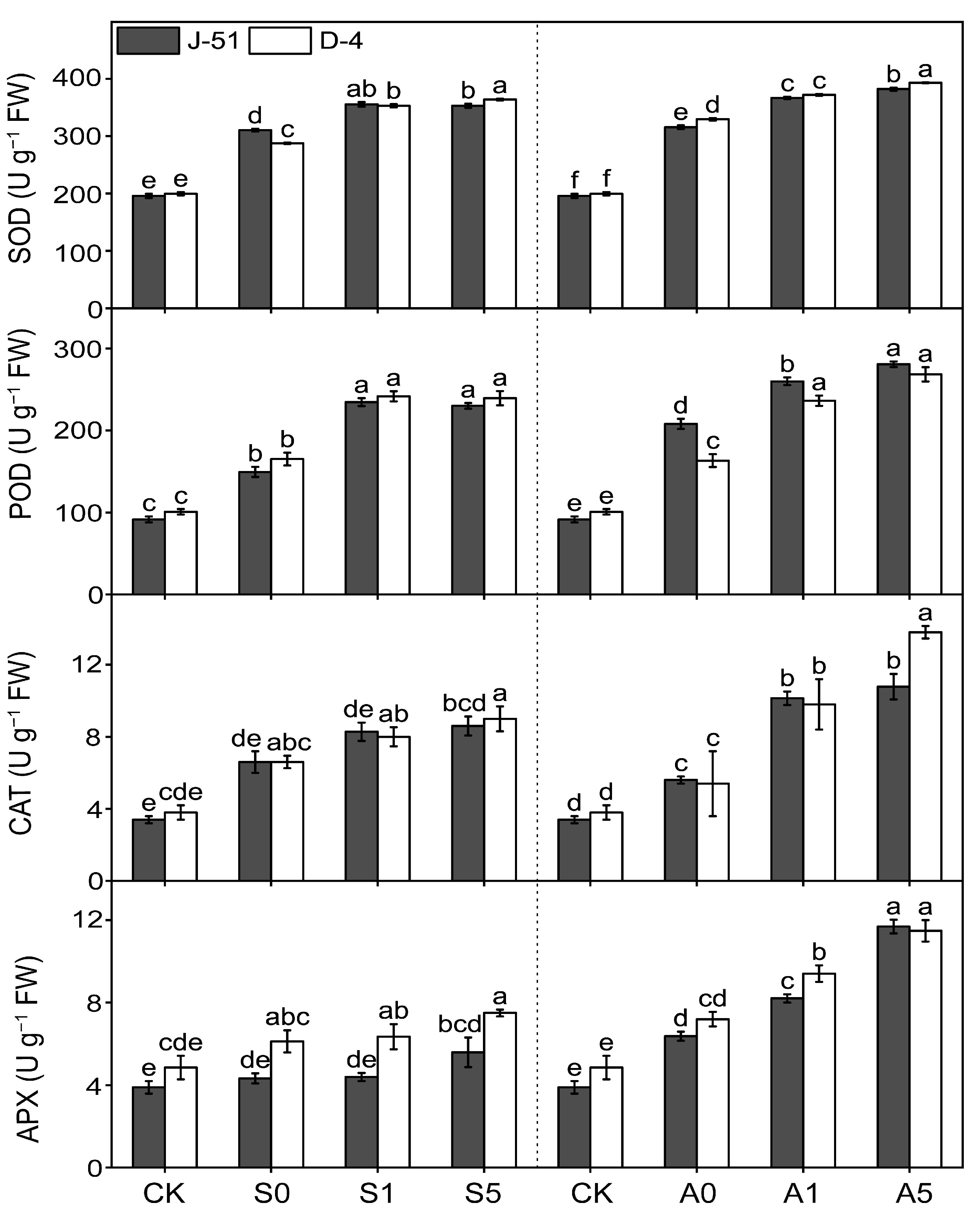 Agronomy 13 02698 g005