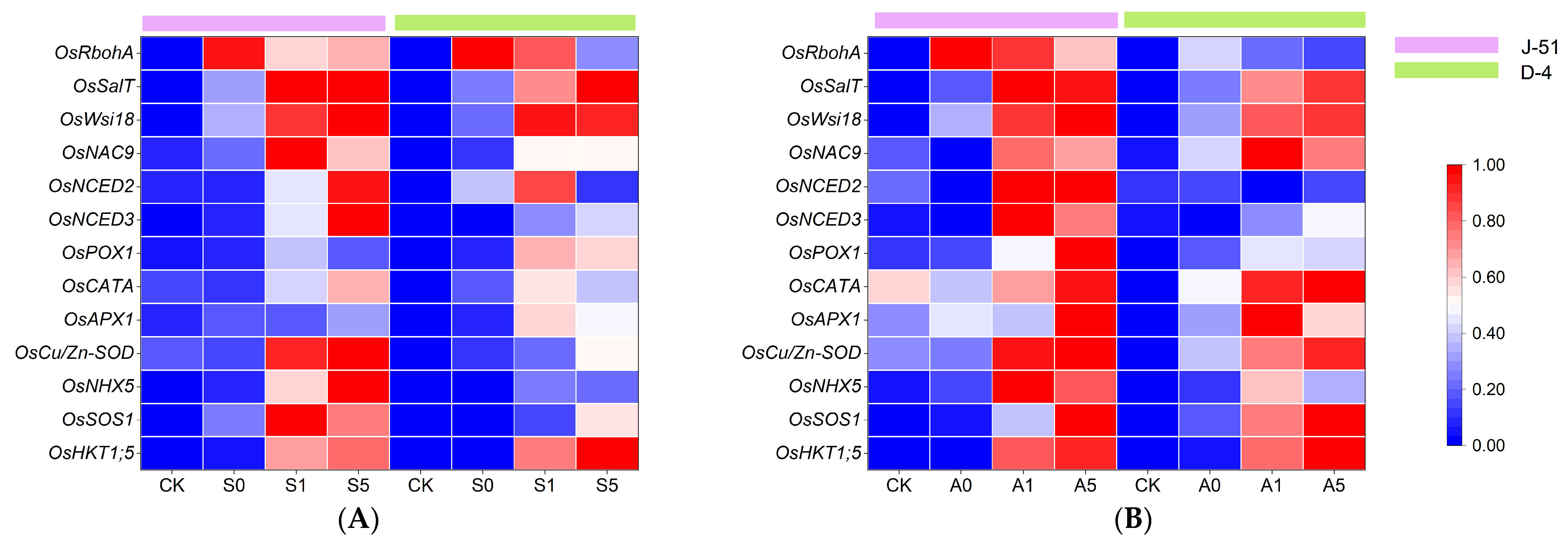 Agronomy 13 02698 g007
