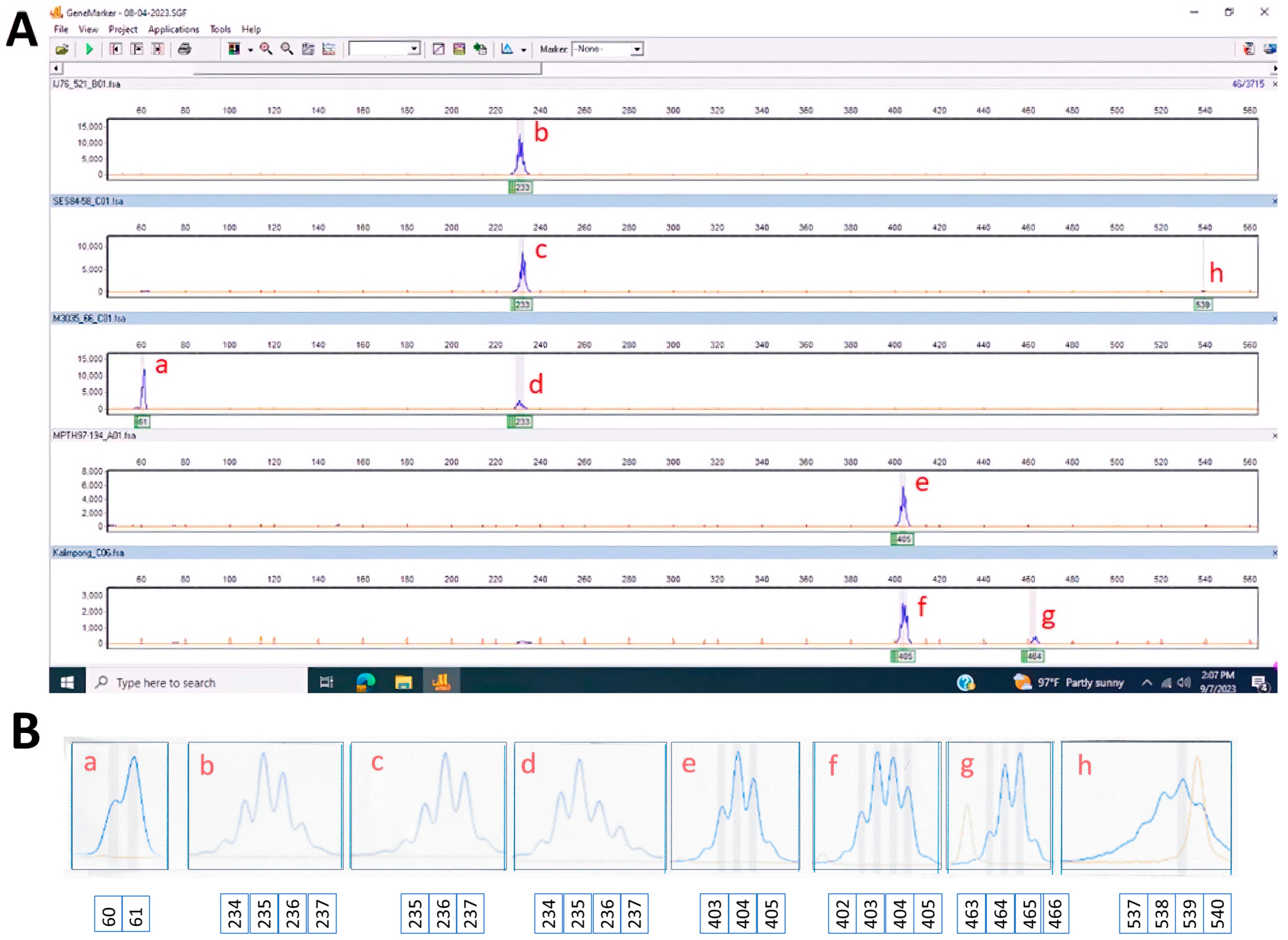 Agronomy 13 02728 g002