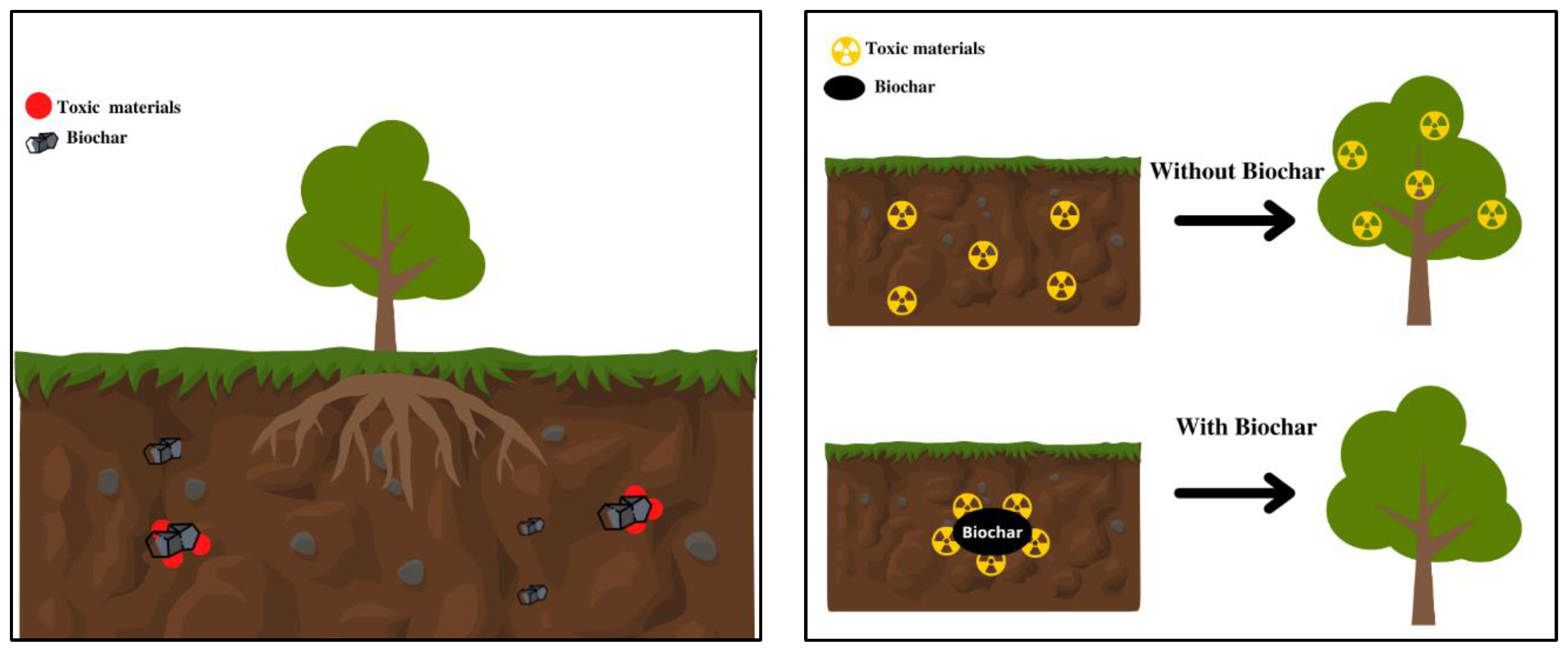 Agronomy 13 02833 g015