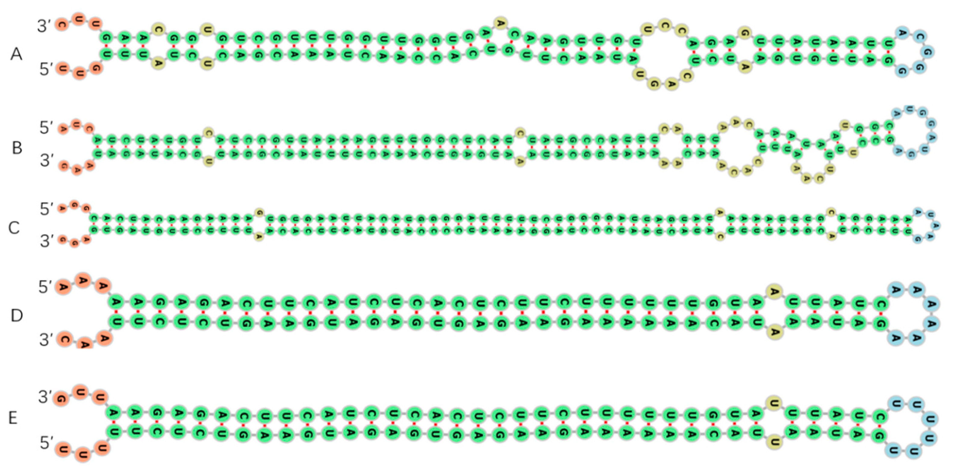 Agronomy 13 02942 g004