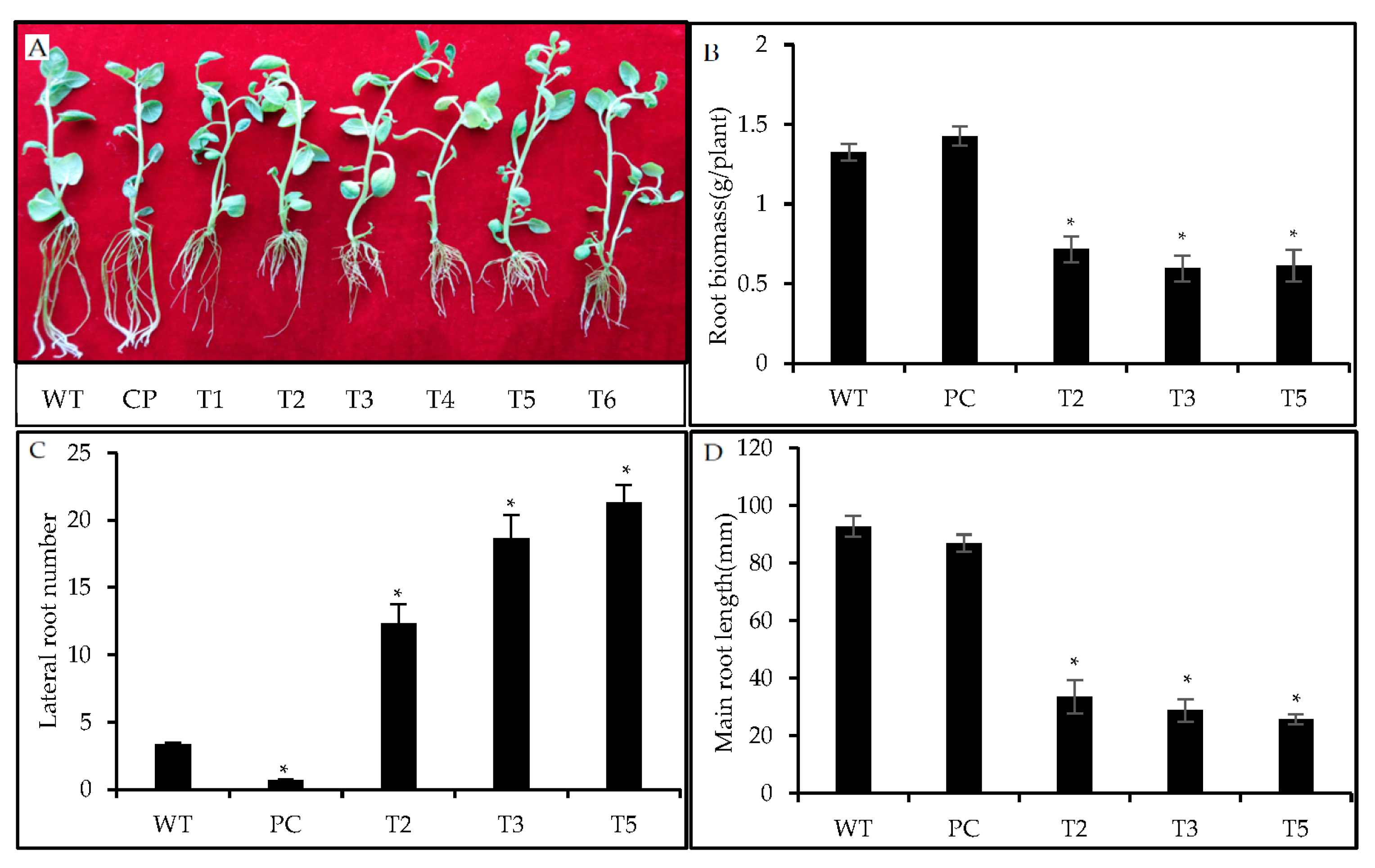 Agronomy 13 02942 g011