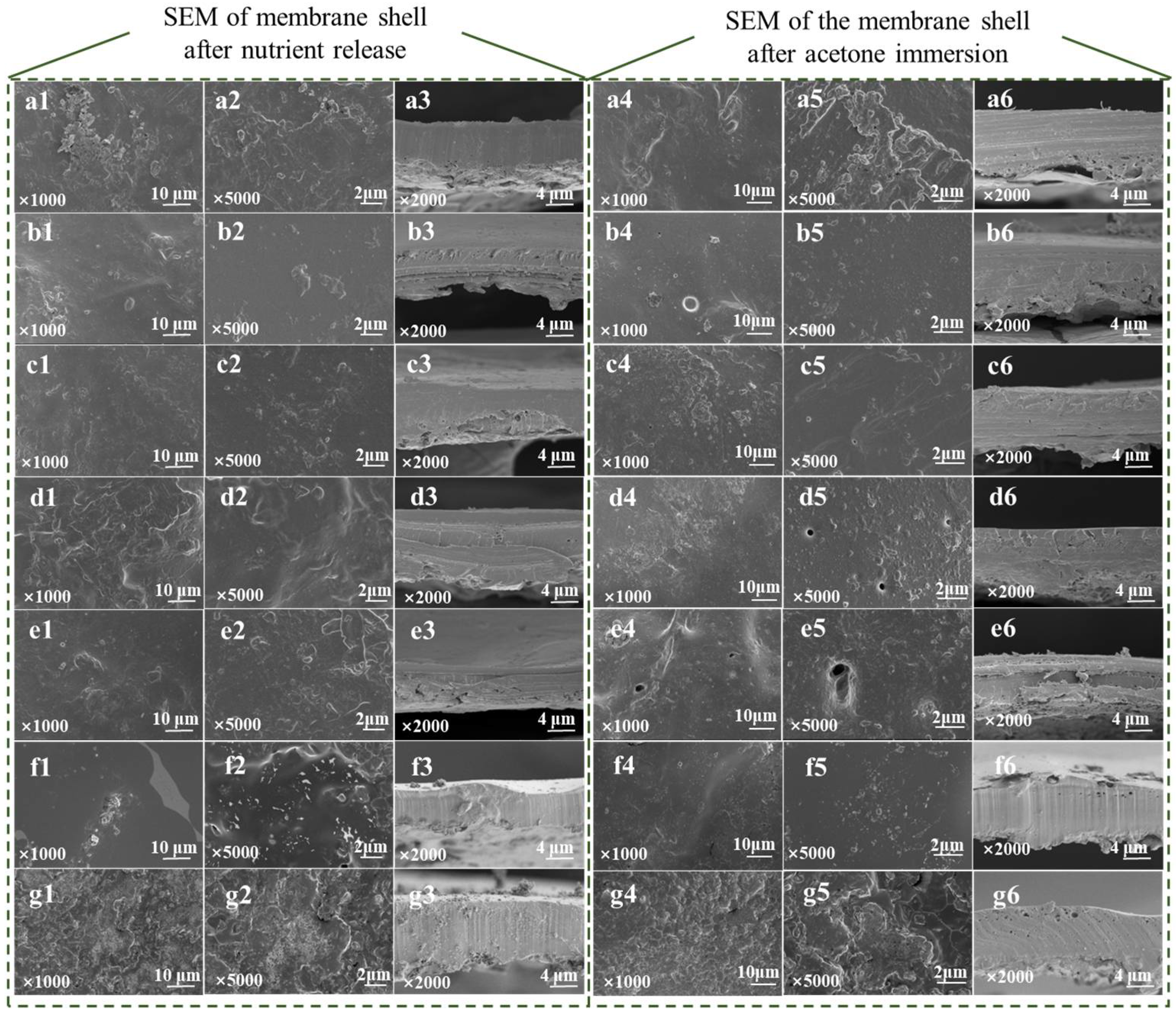 Agronomy 13 03008 g006