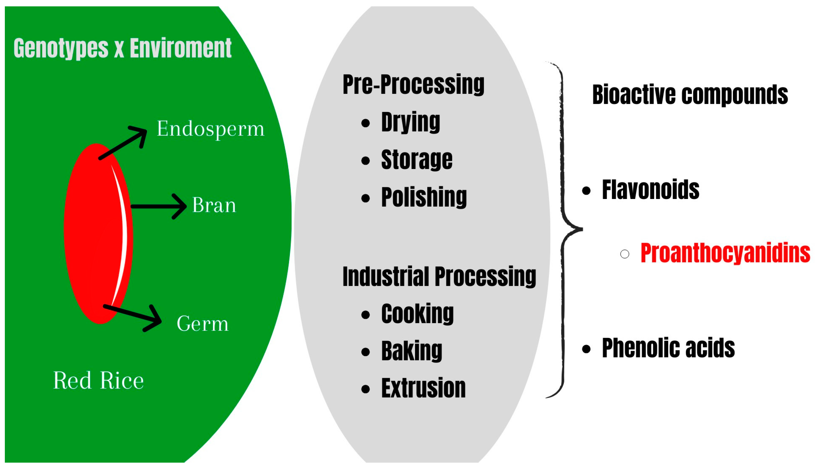 Agronomy 14 00616 g002