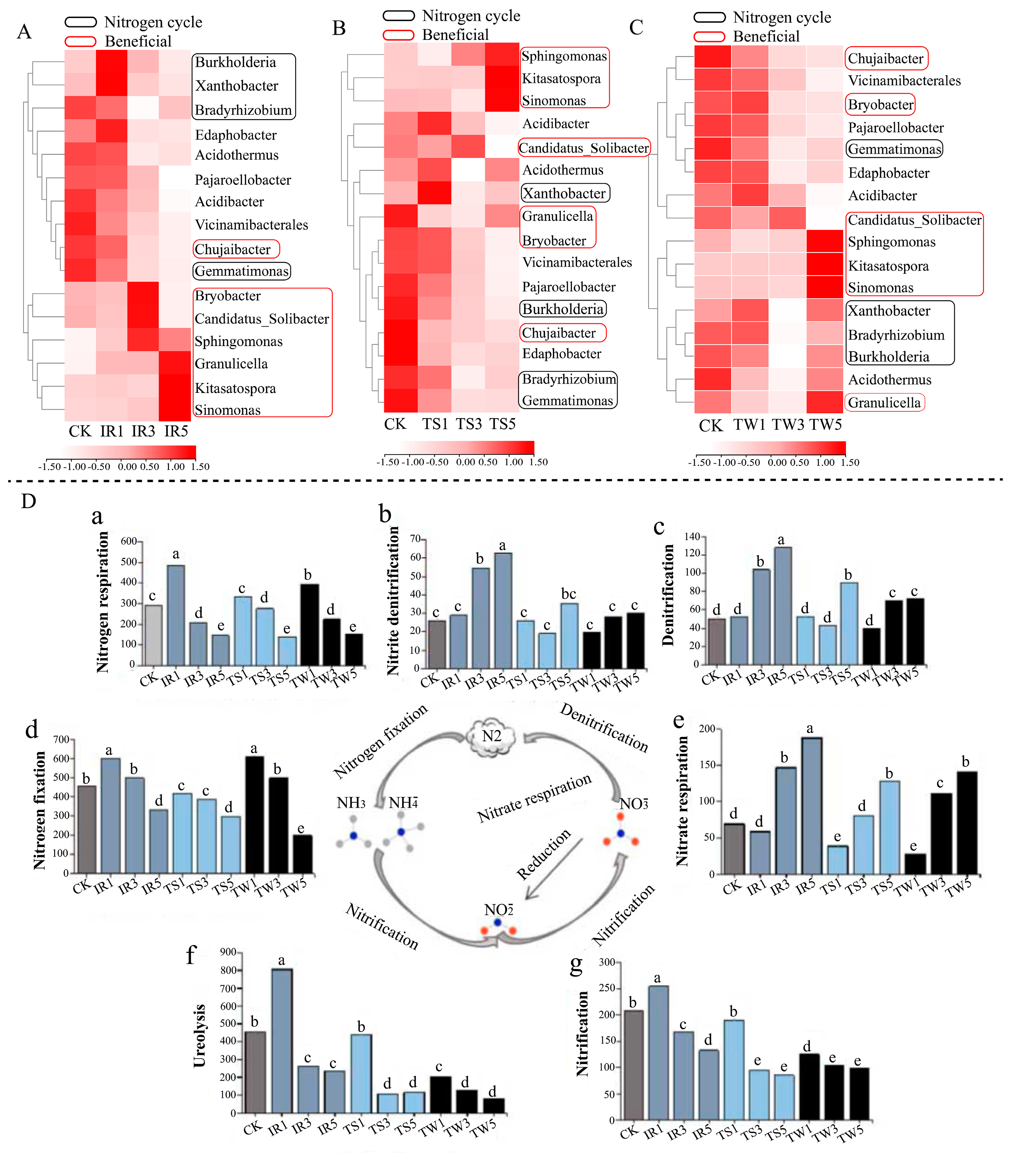 Agronomy 14 00638 g005