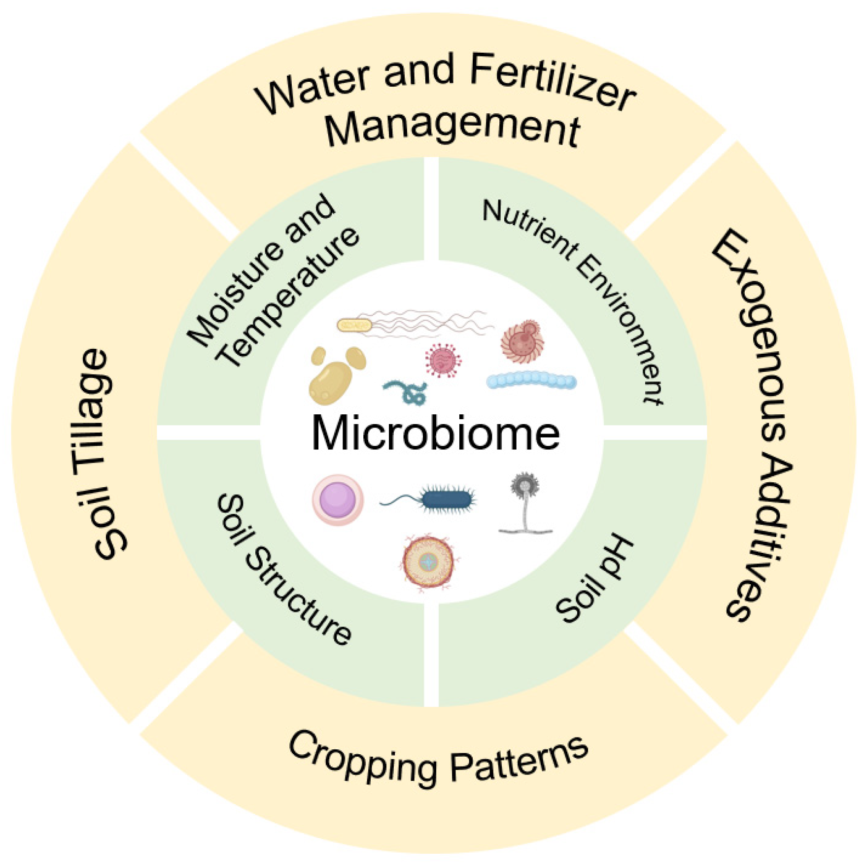 Agronomy 14 00669 g002