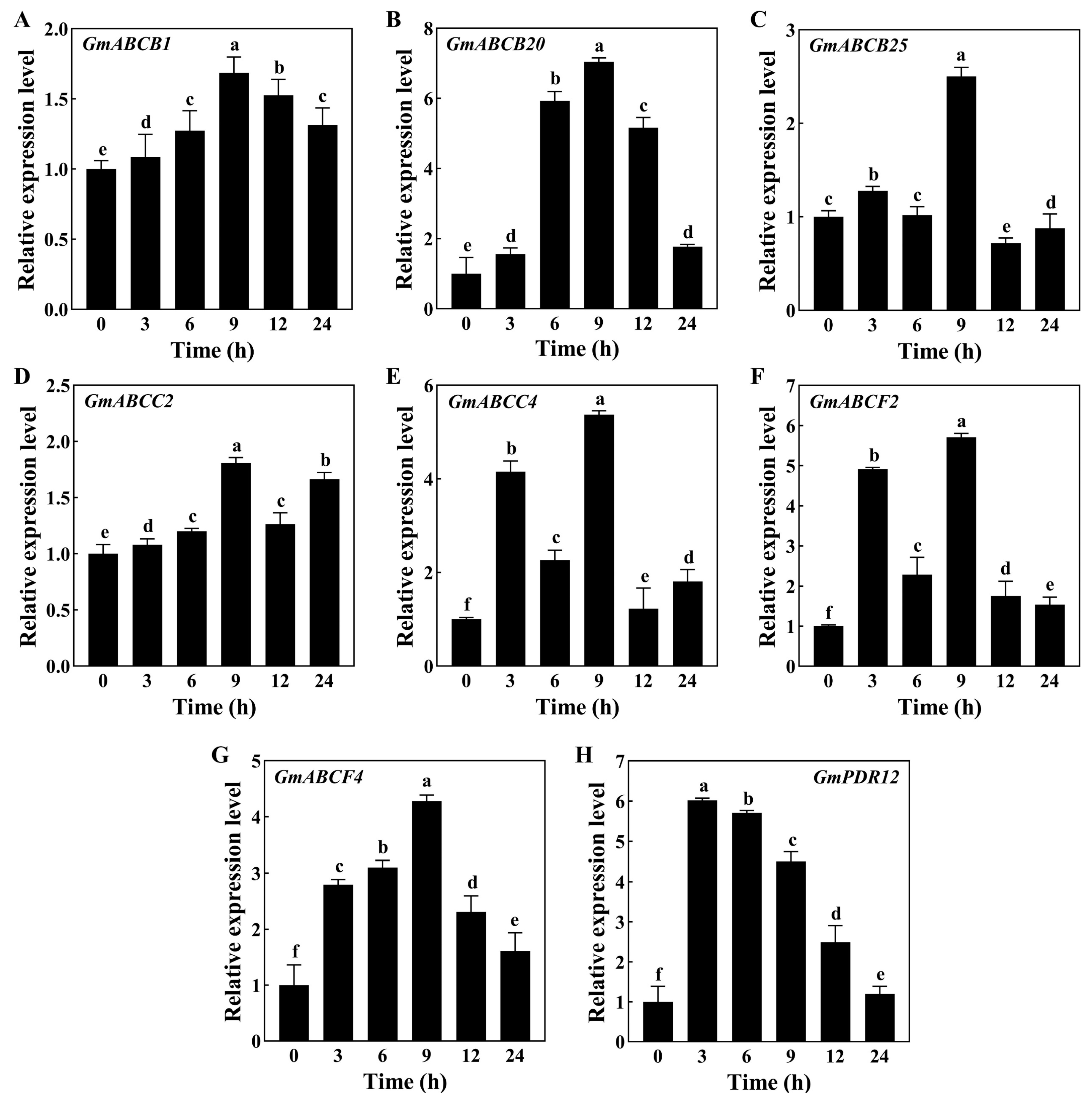 Agronomy 14 00843 g004