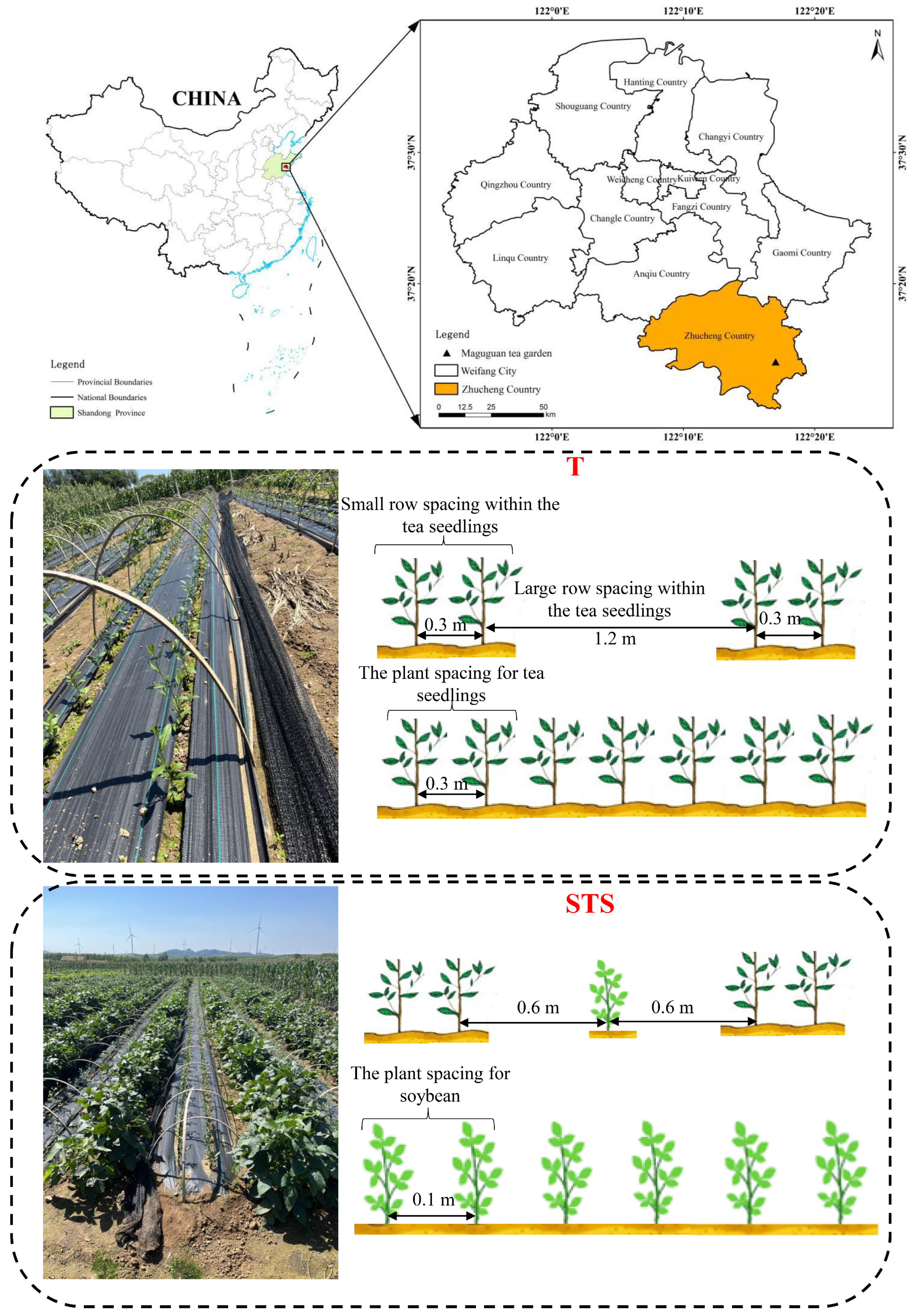 Agronomy 14 00850 g001