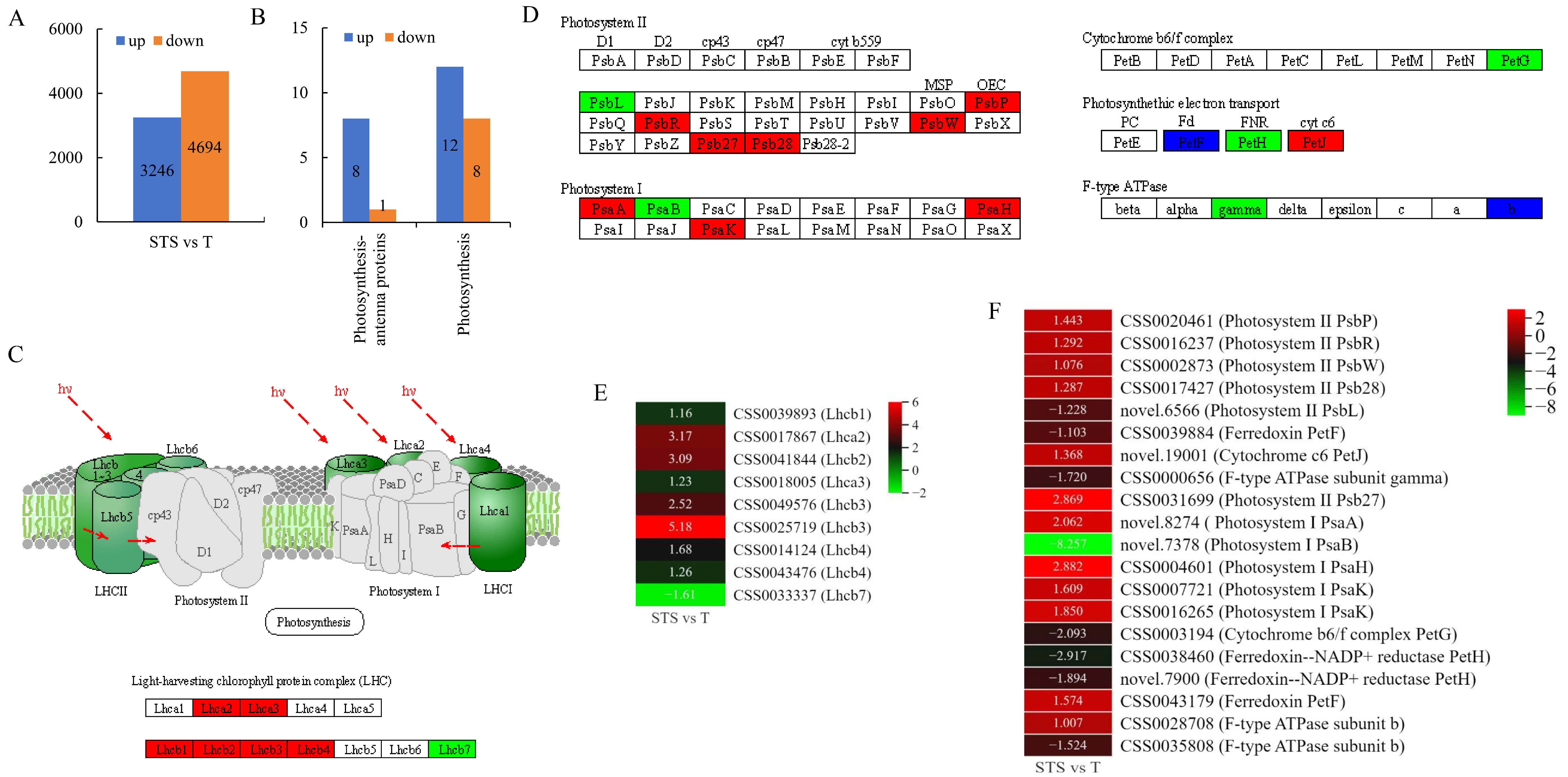 Agronomy 14 00850 g004
