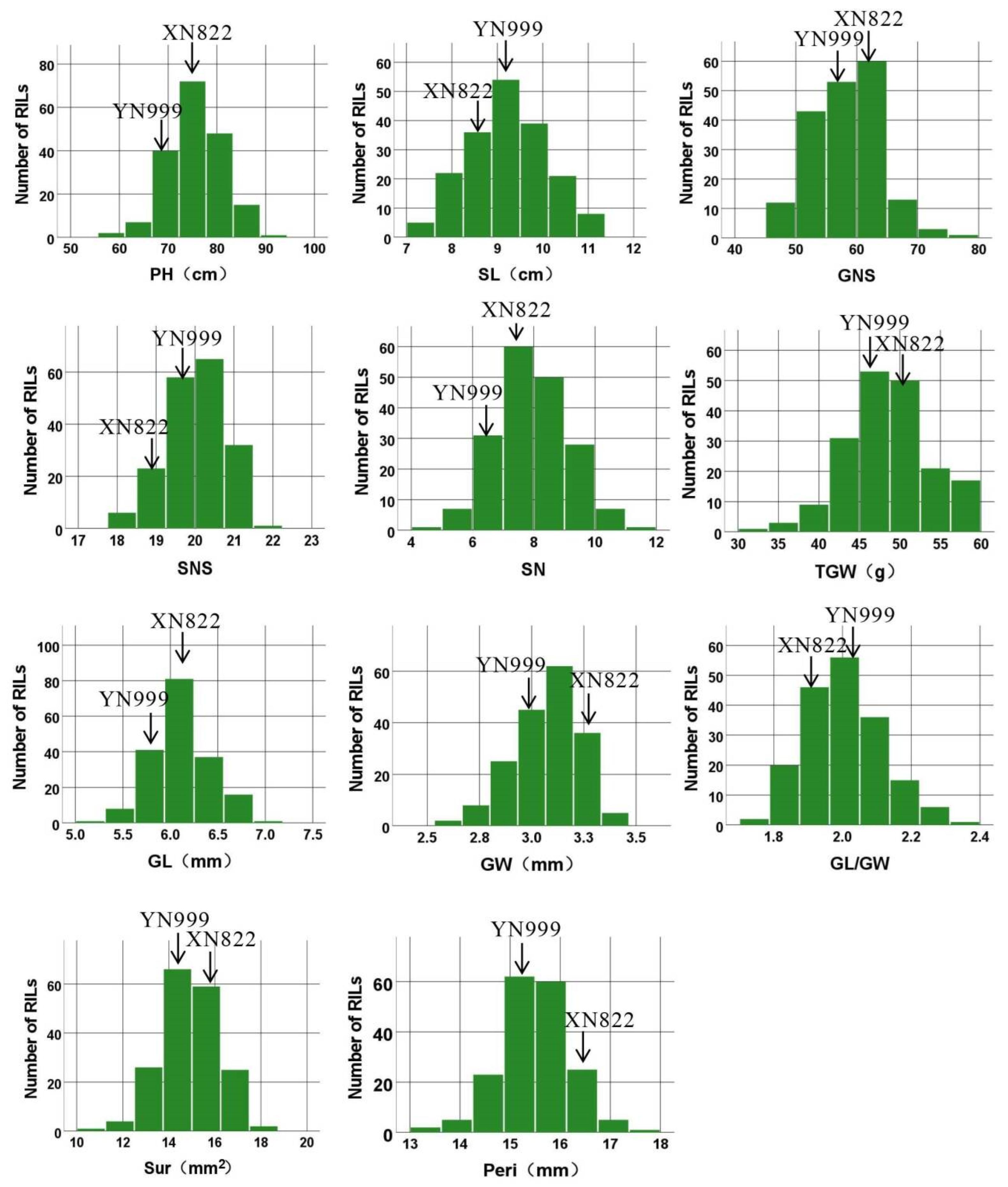 Agronomy 14 00940 g001