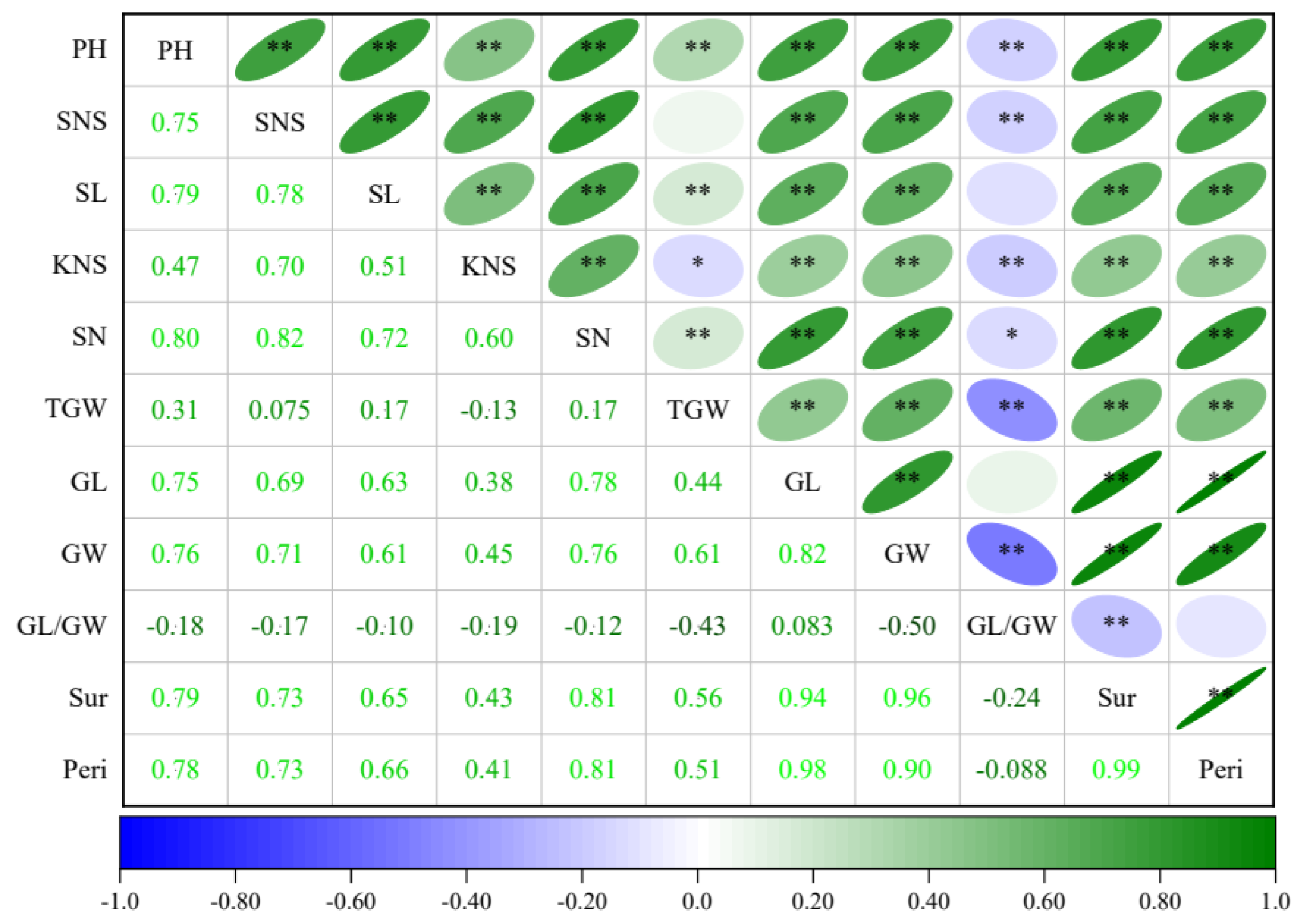 Agronomy 14 00940 g002