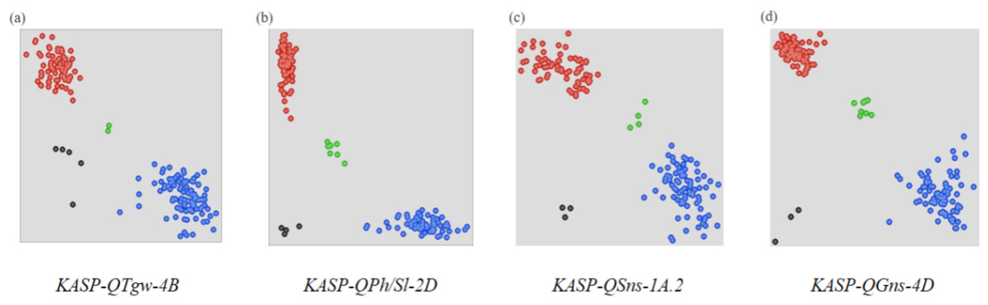 Agronomy 14 00940 g004