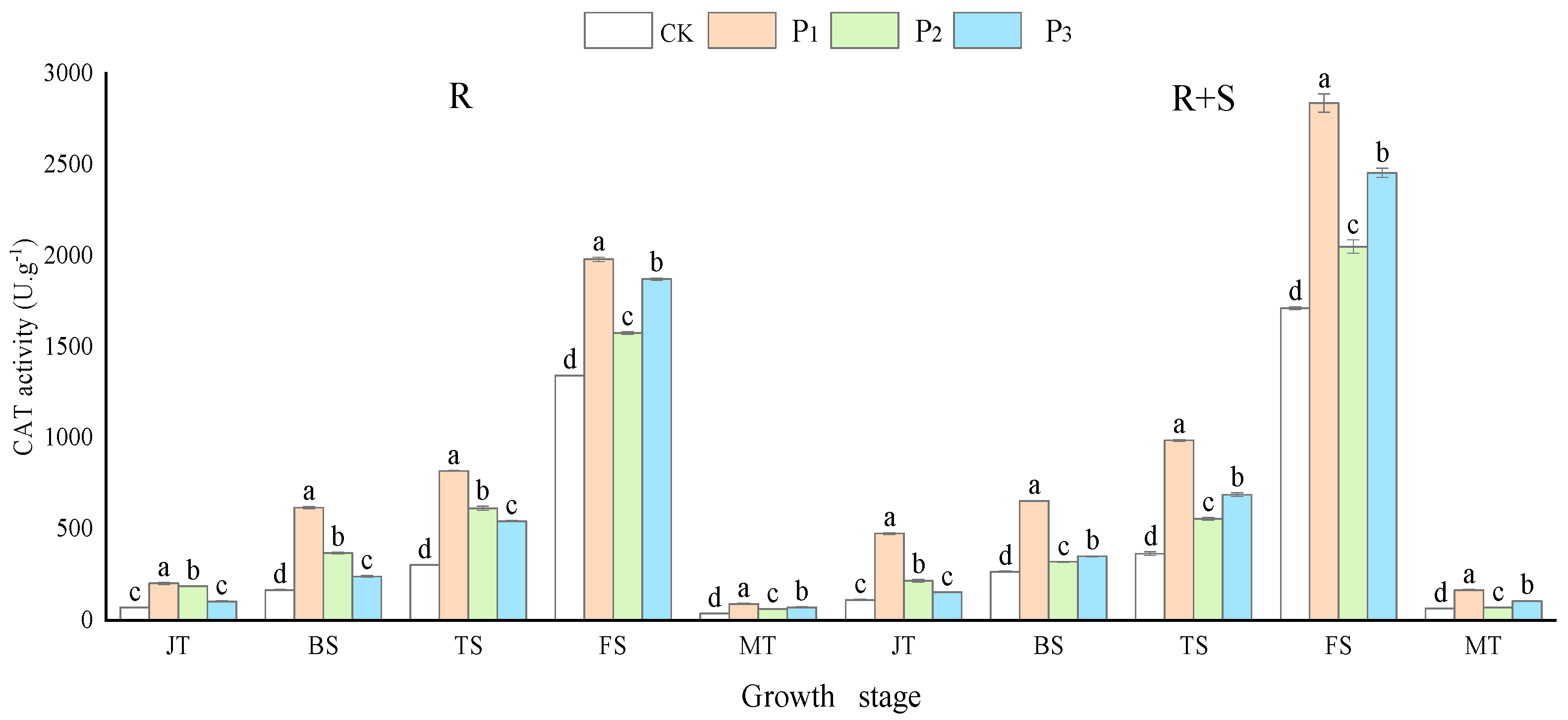 Agronomy 14 00968 g001
