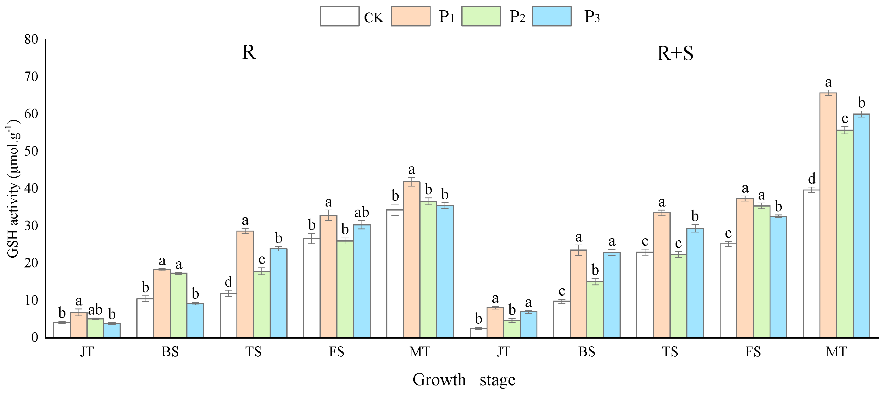 Agronomy 14 00968 g002