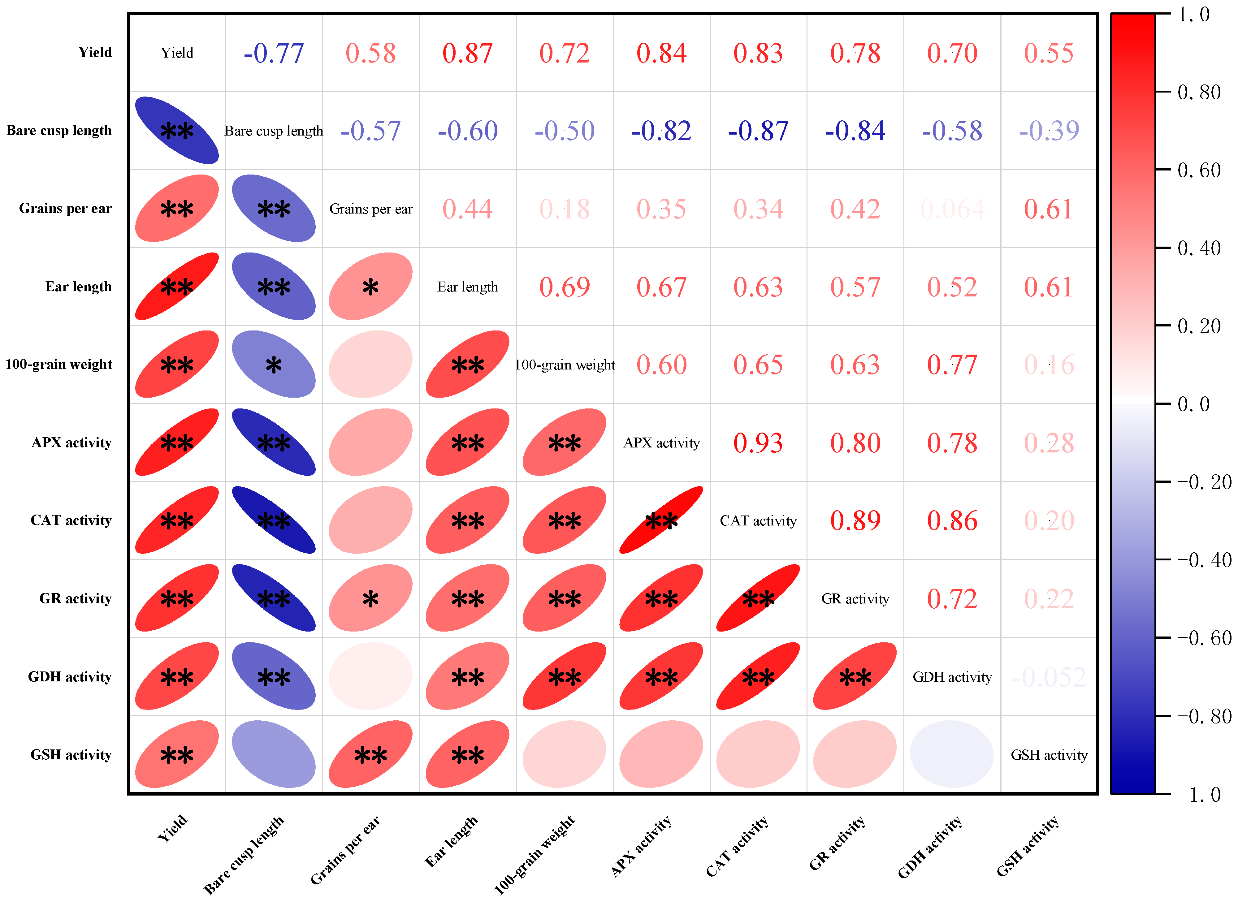 Agronomy 14 00968 g006
