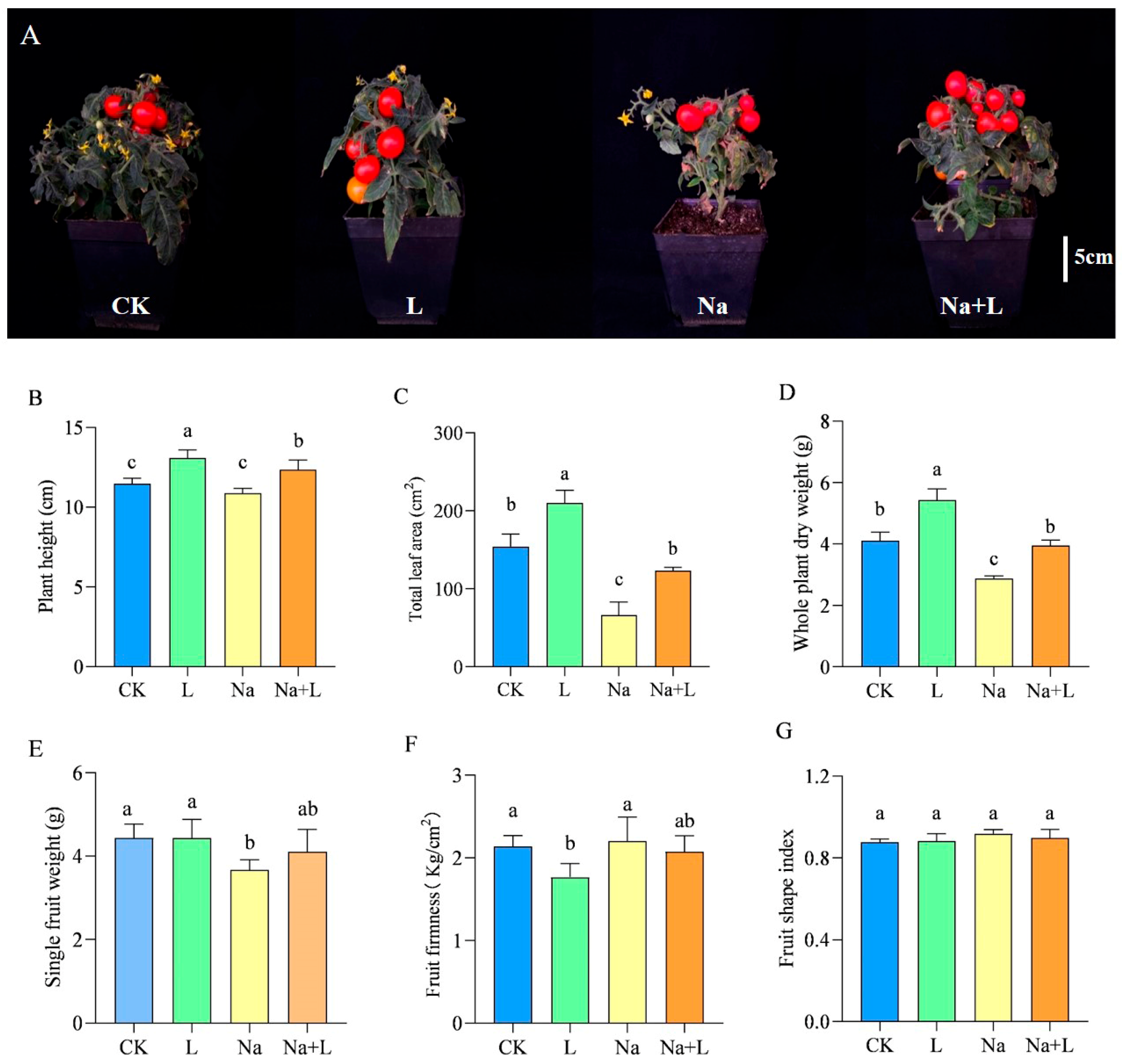 Agronomy 14 00983 g002