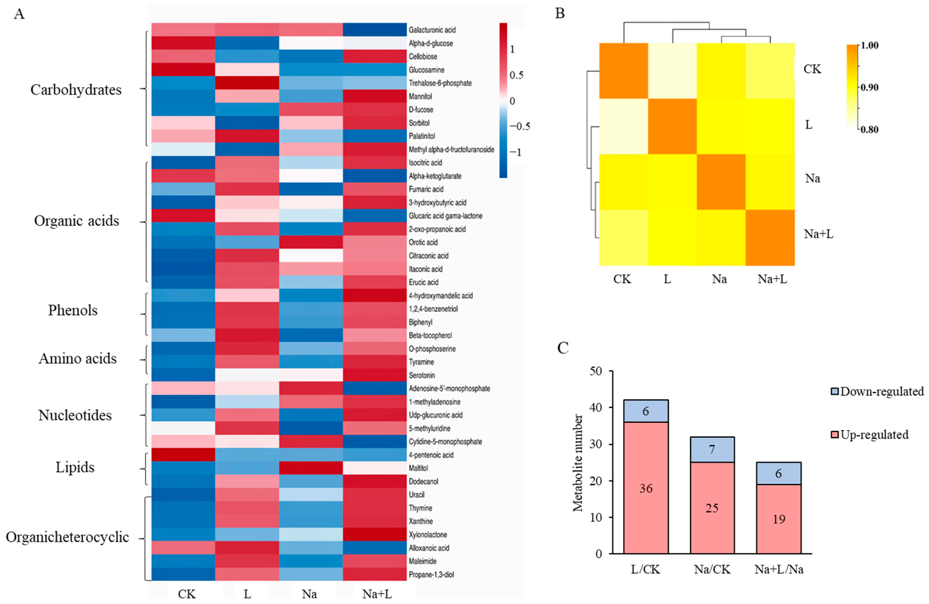 Agronomy 14 00983 g003