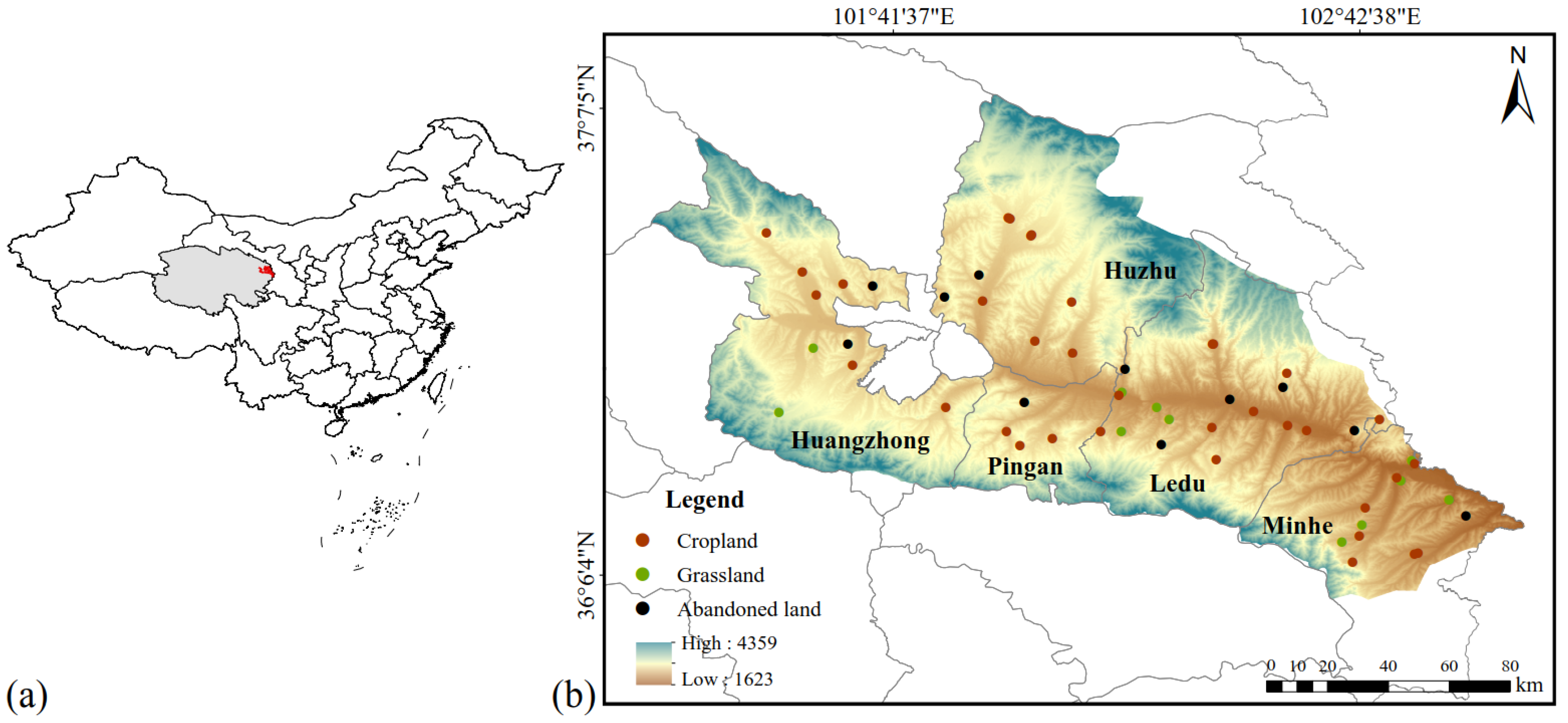 Agronomy 14 00990 g001