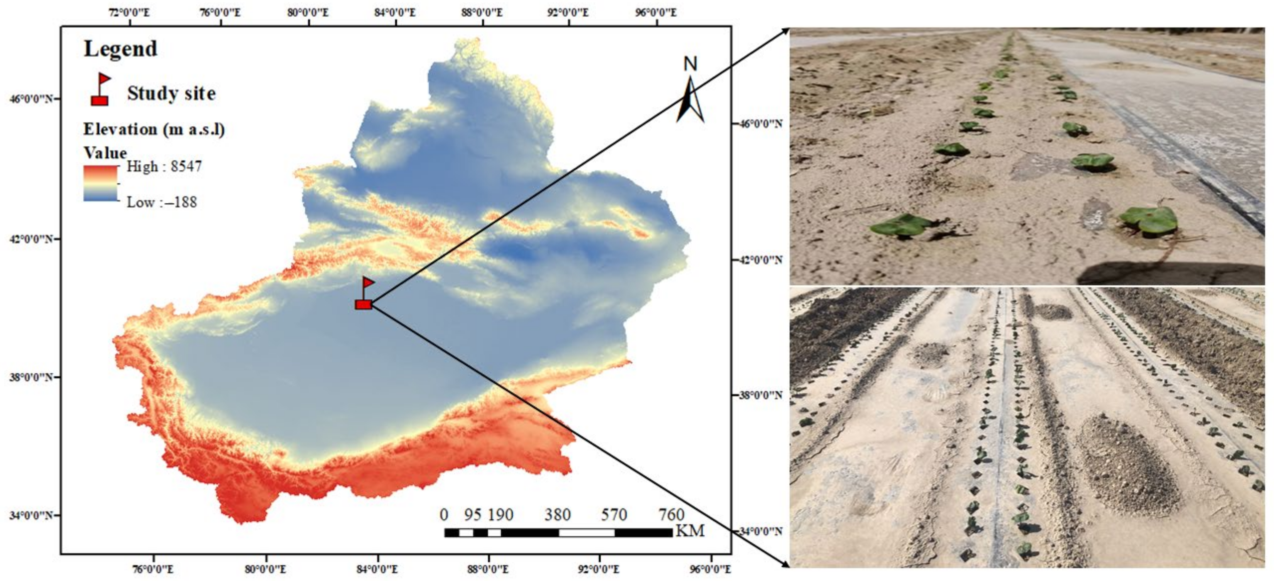 Agronomy 14 00994 g001
