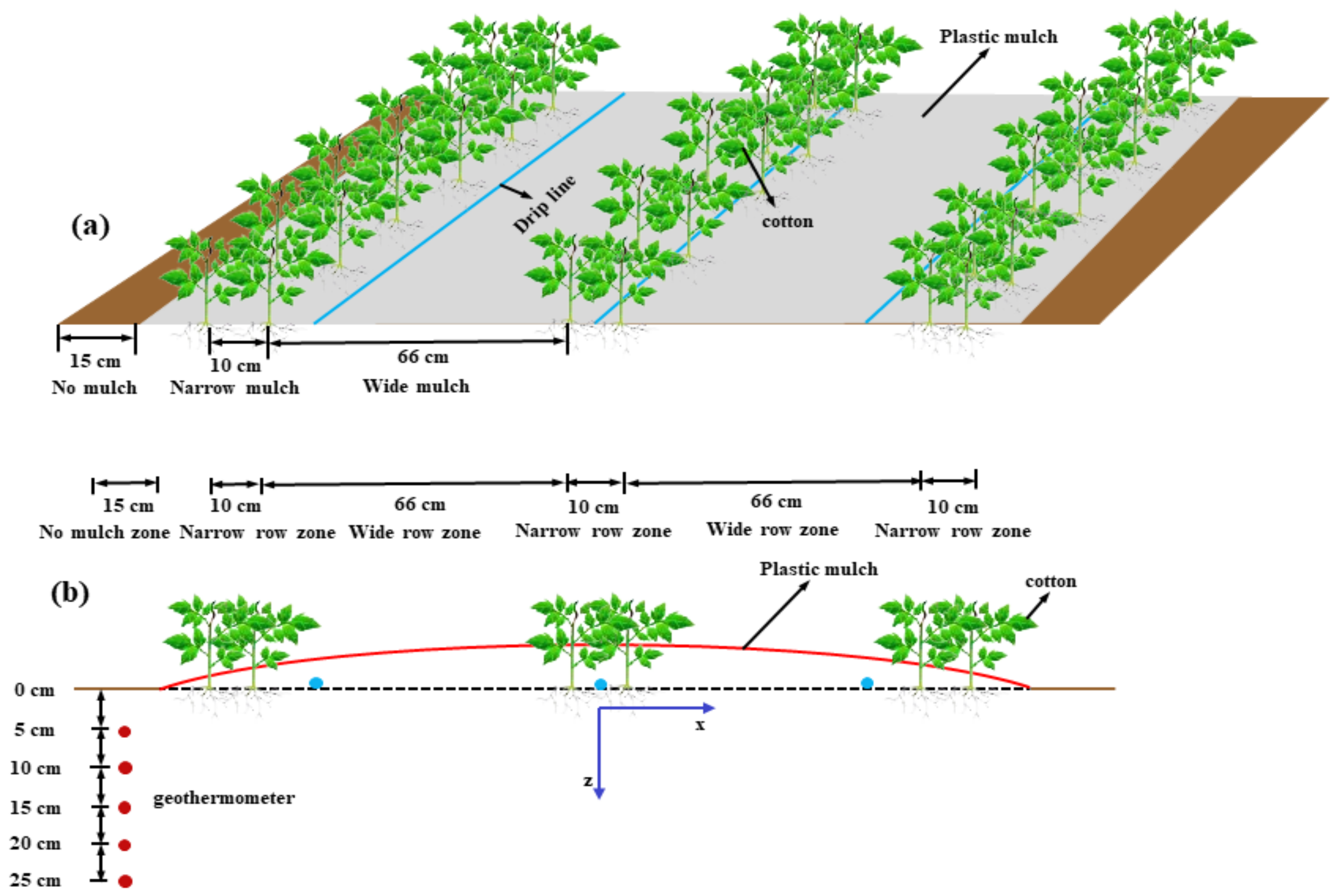 Agronomy 14 00994 g003