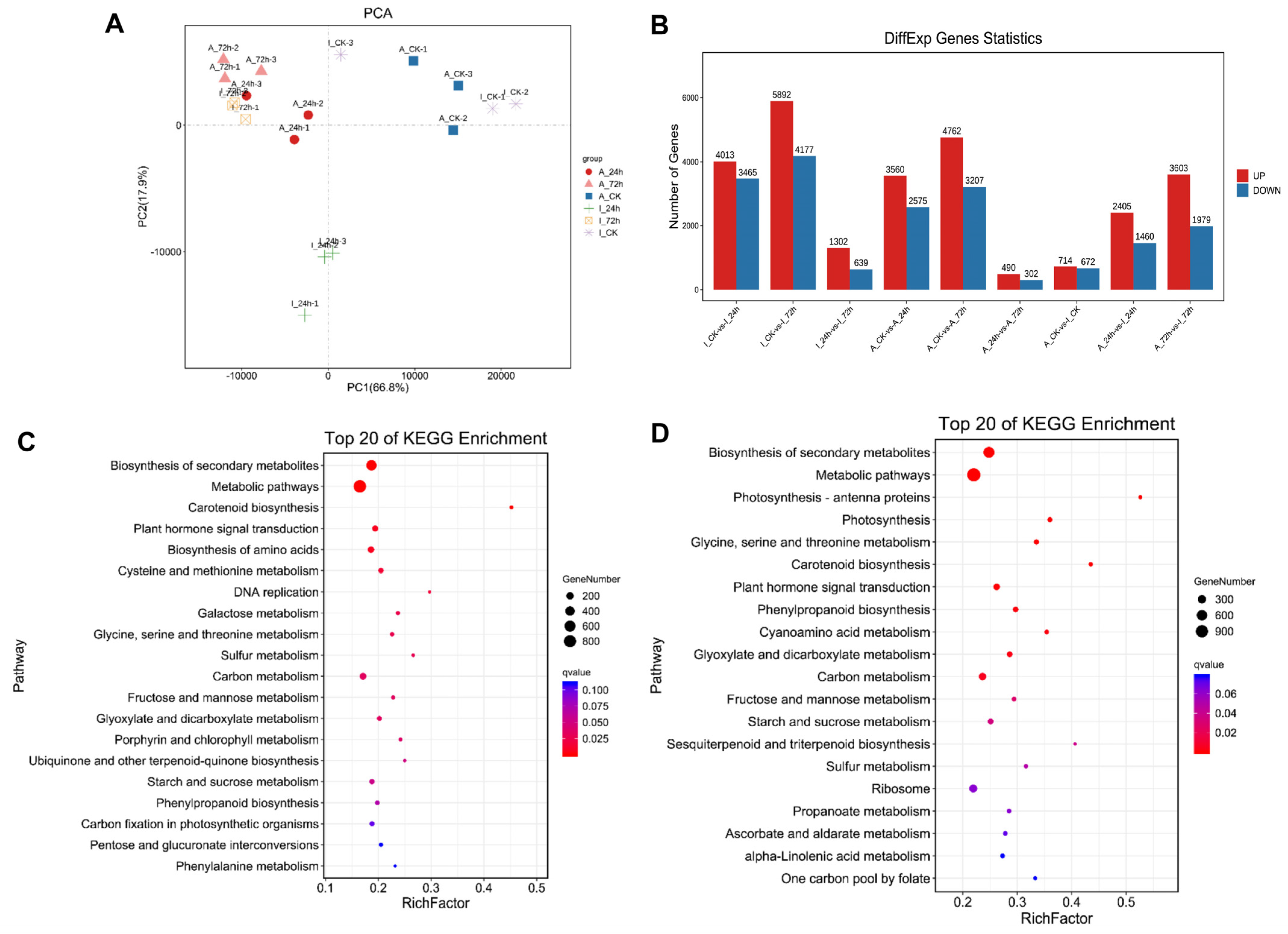 Agronomy 14 01045 g003