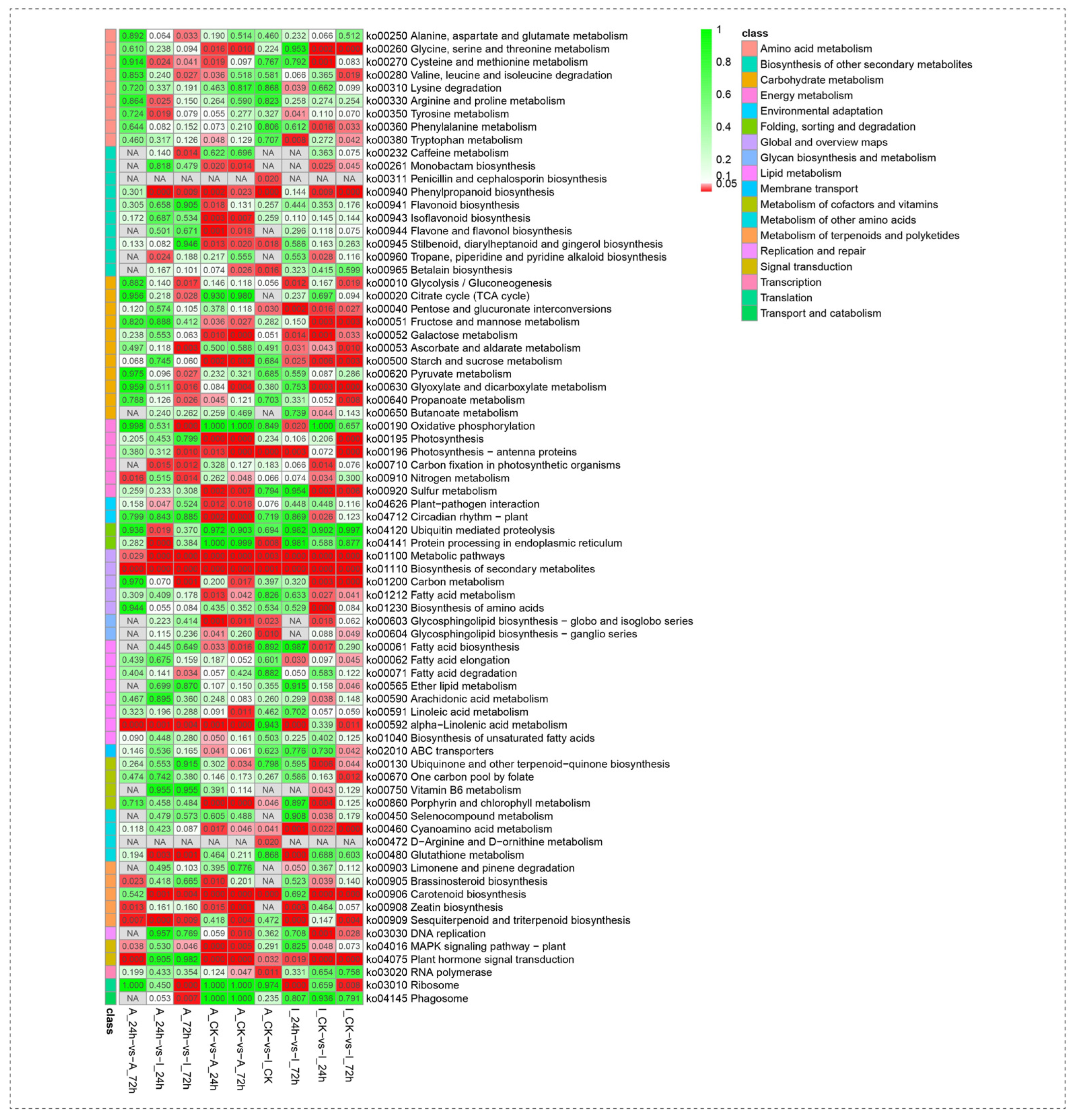Agronomy 14 01045 g005