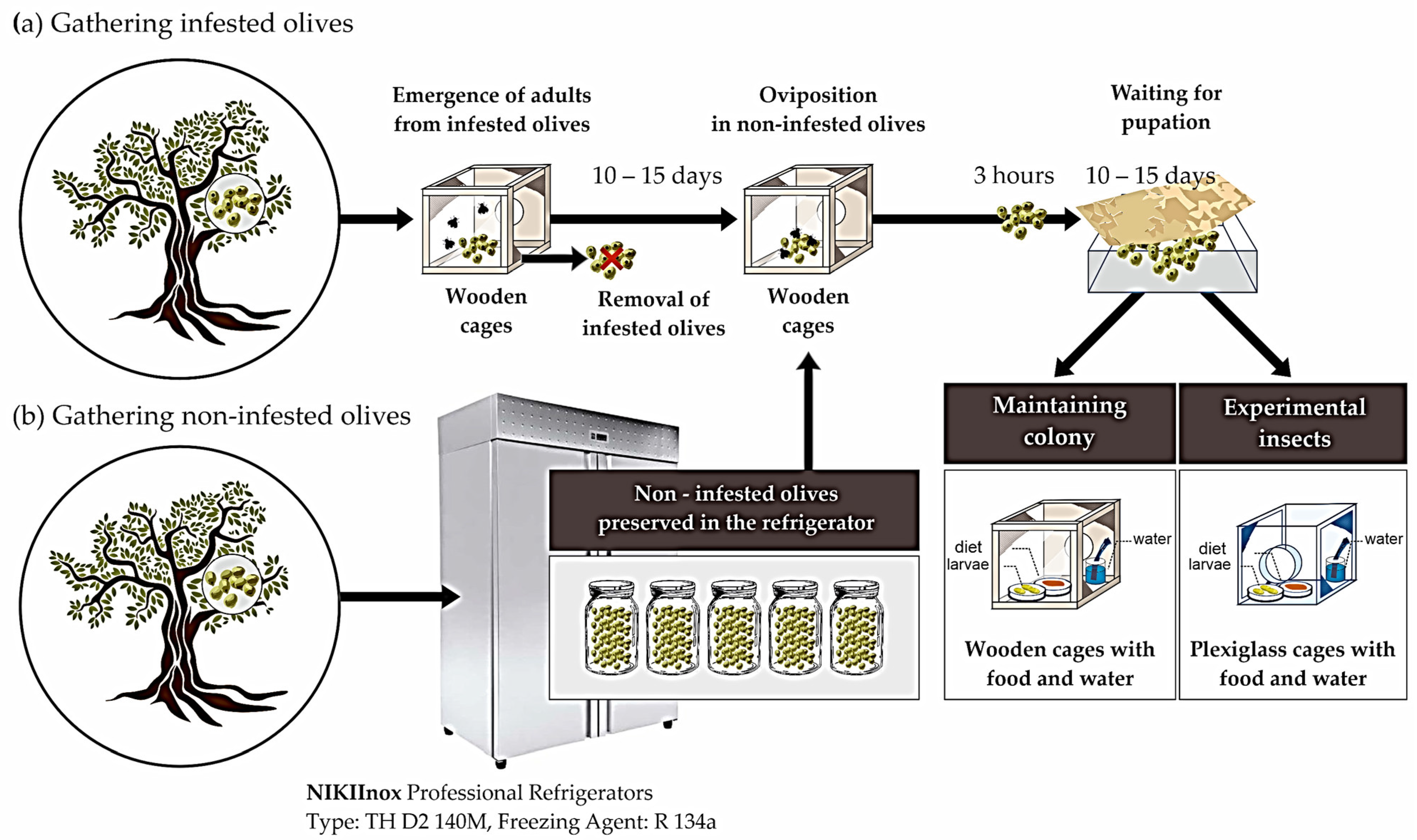 Agronomy 14 01051 g002