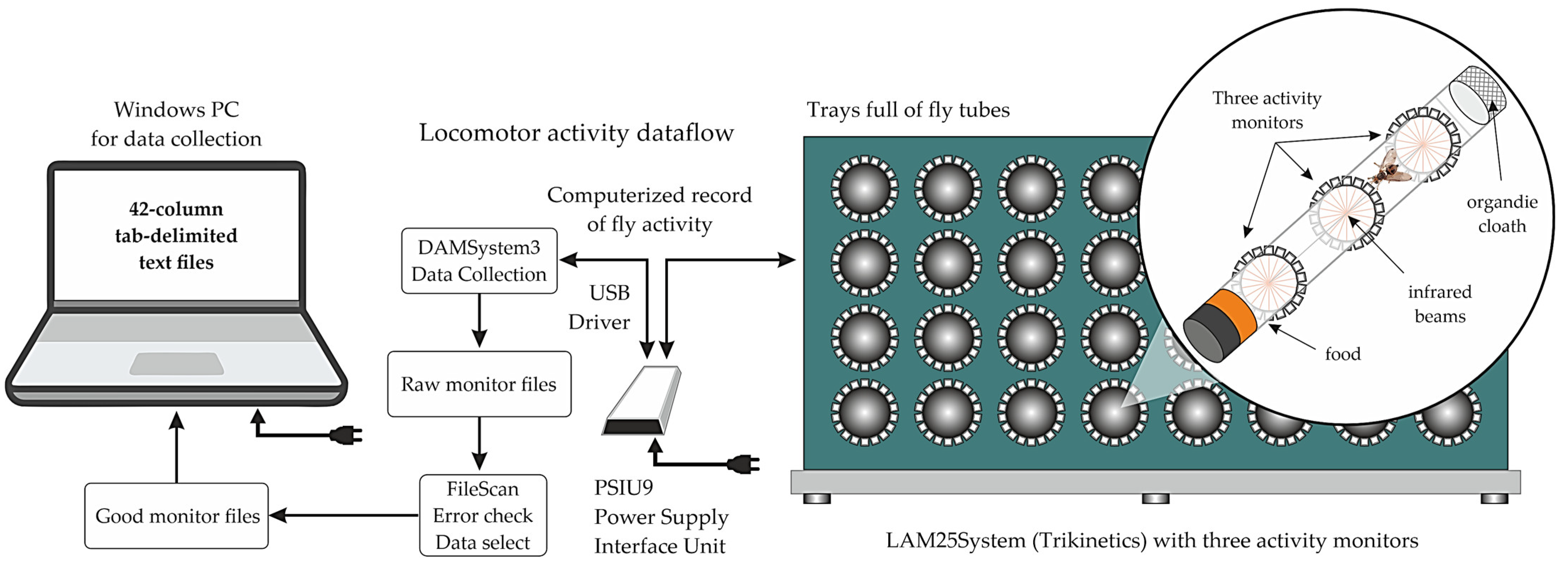 Agronomy 14 01051 g004