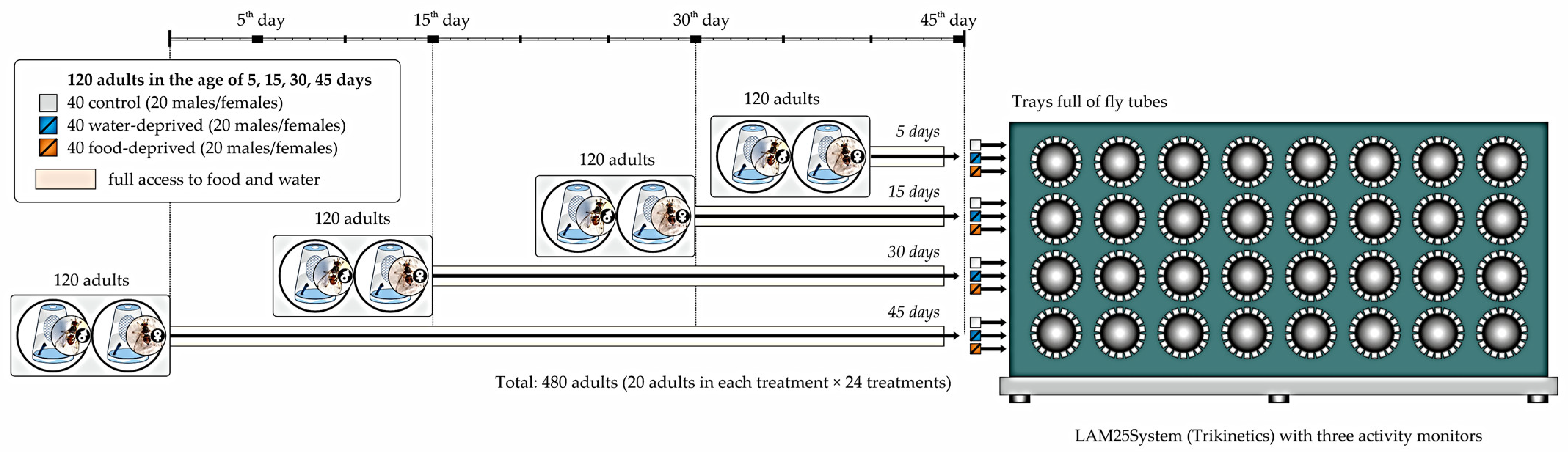 Agronomy 14 01051 g005
