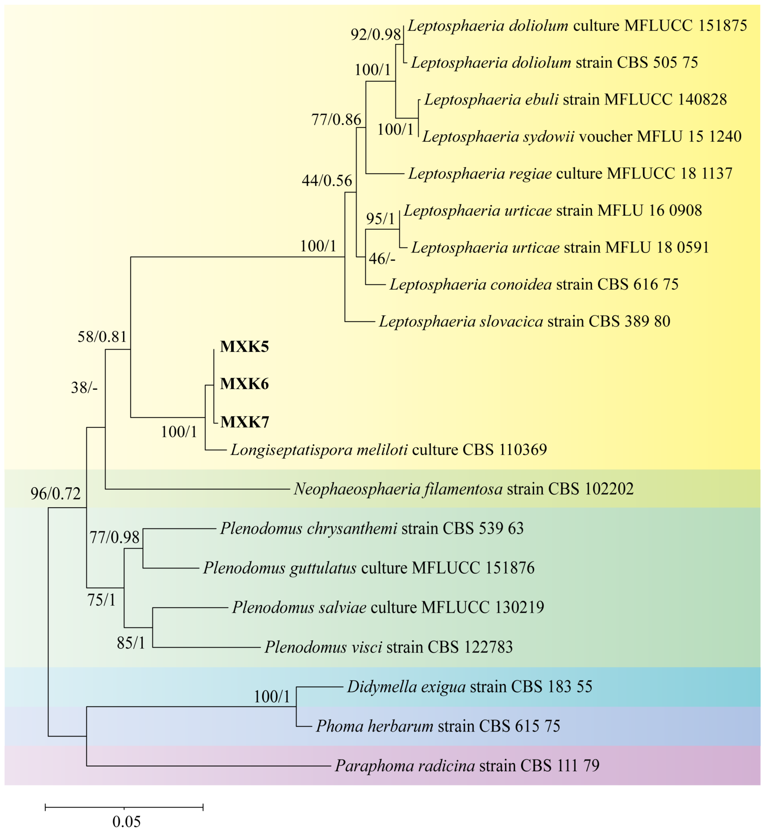 Agronomy 14 01055 g004