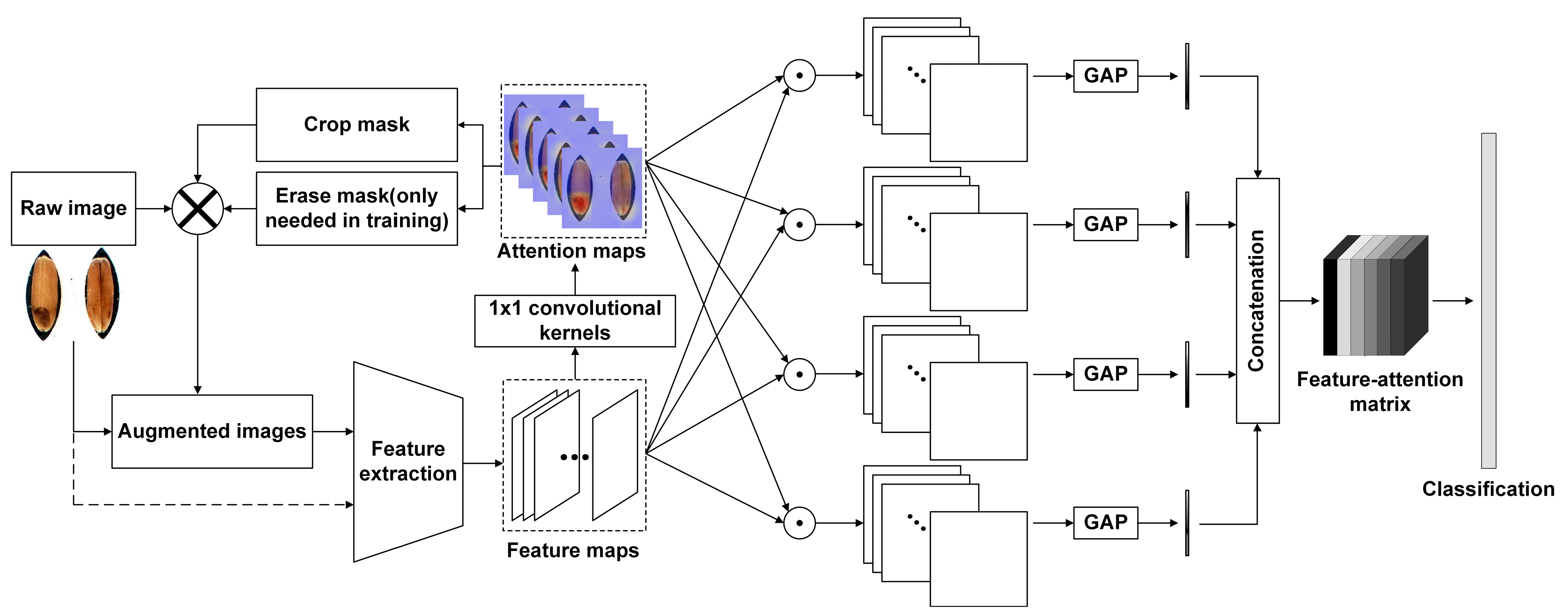 Agronomy 14 01057 g007