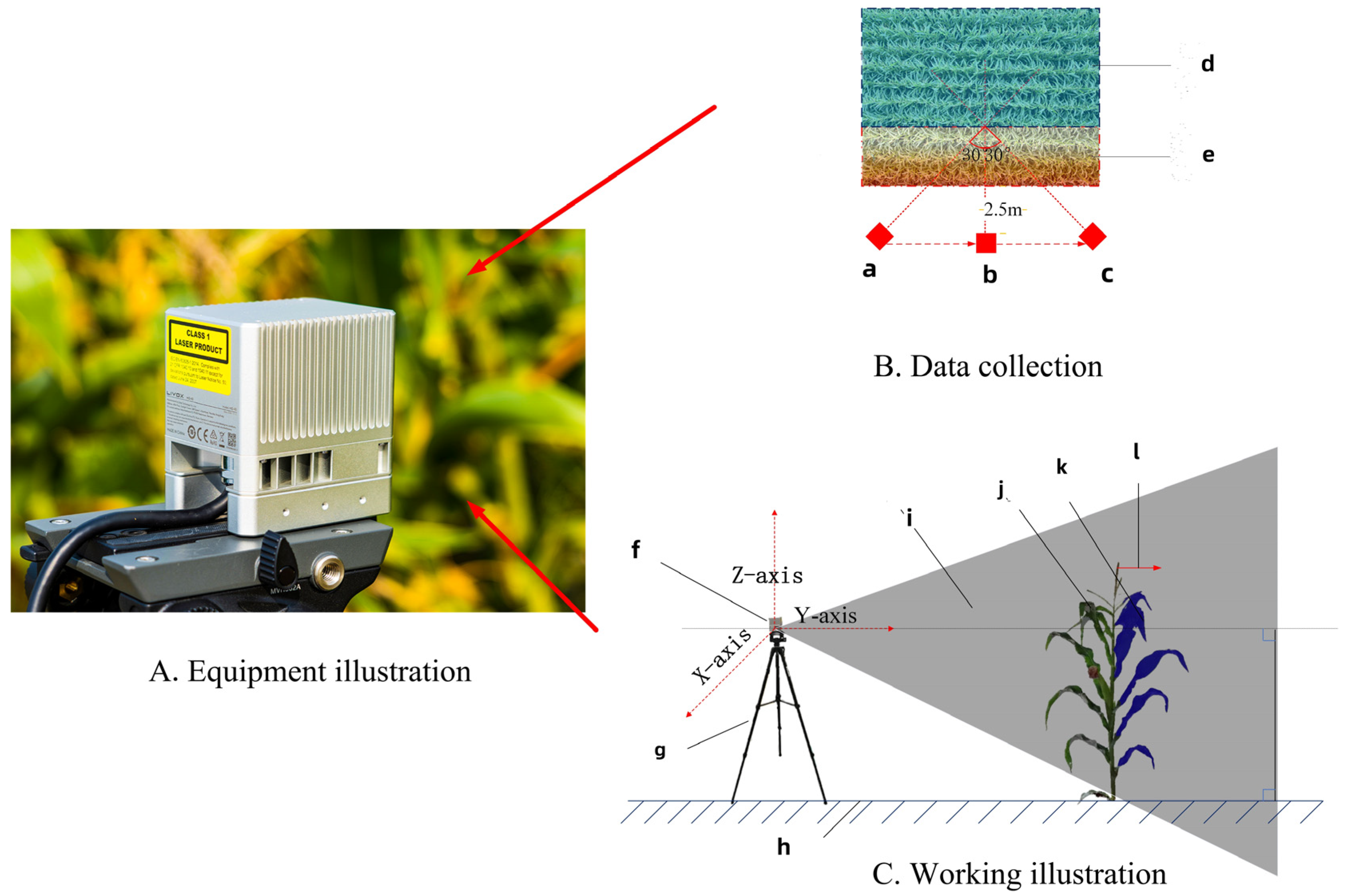 Agronomy 14 01069 g003
