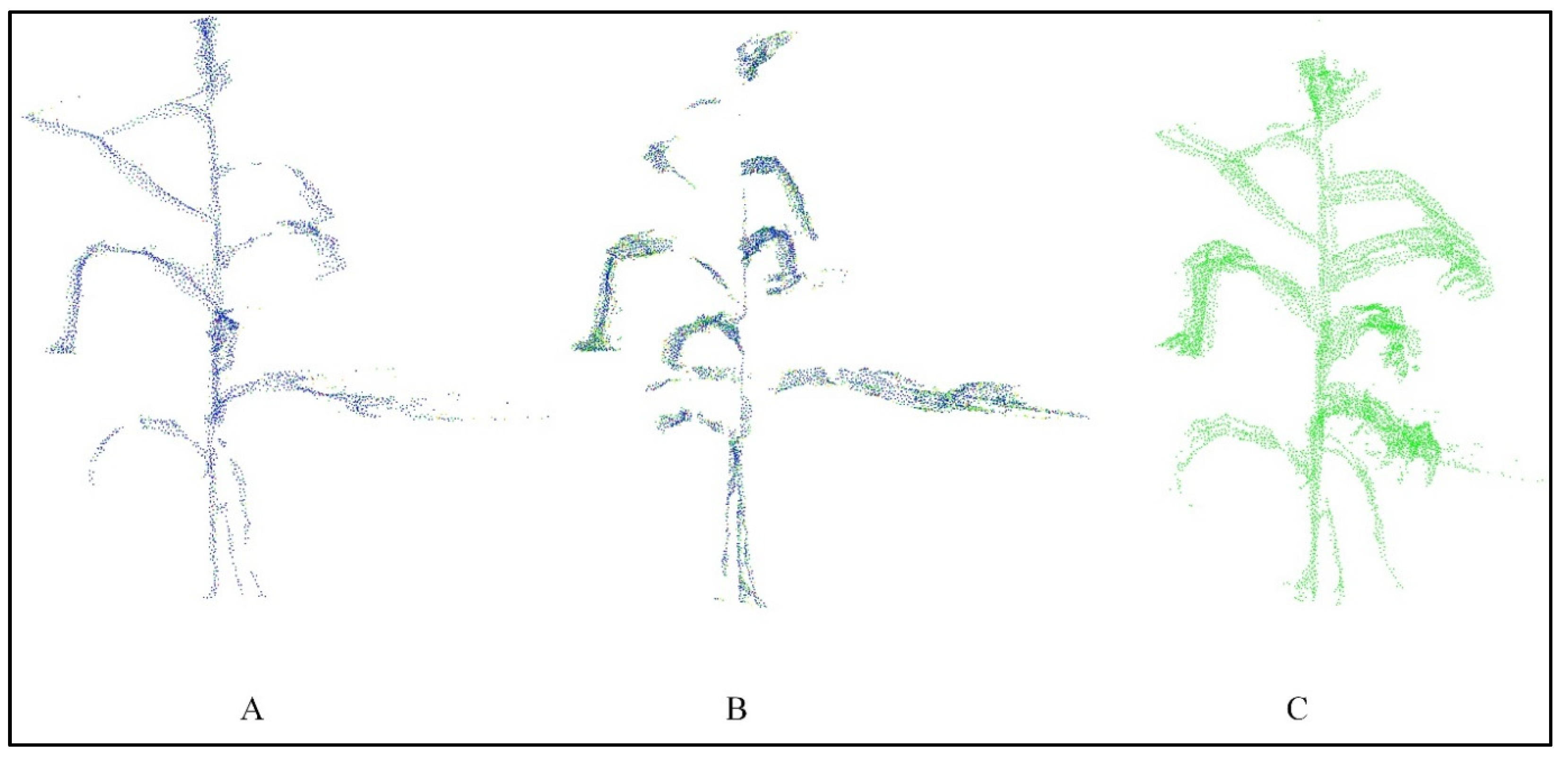 Agronomy 14 01069 g006