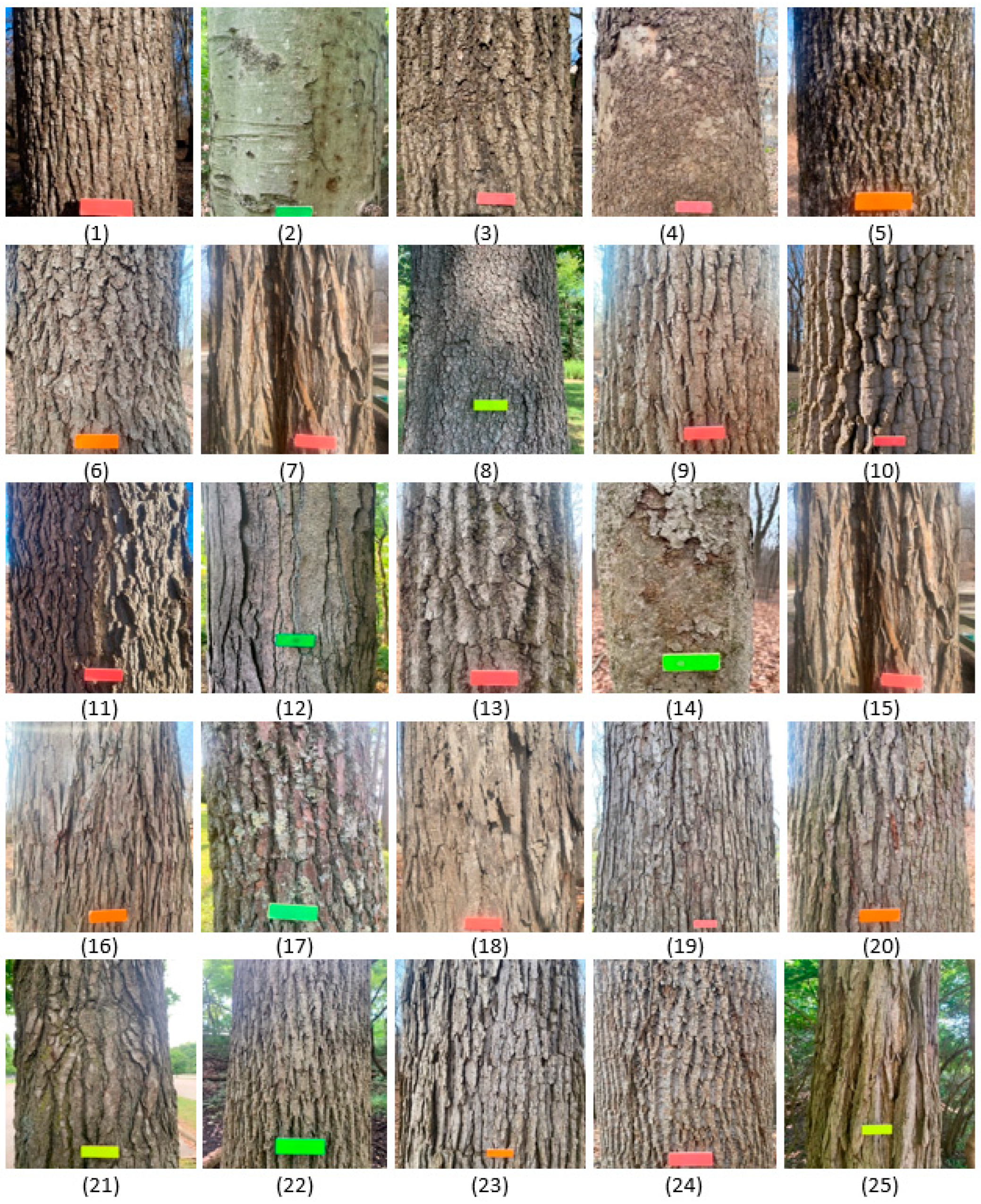 Algorithms 17 00179 g004