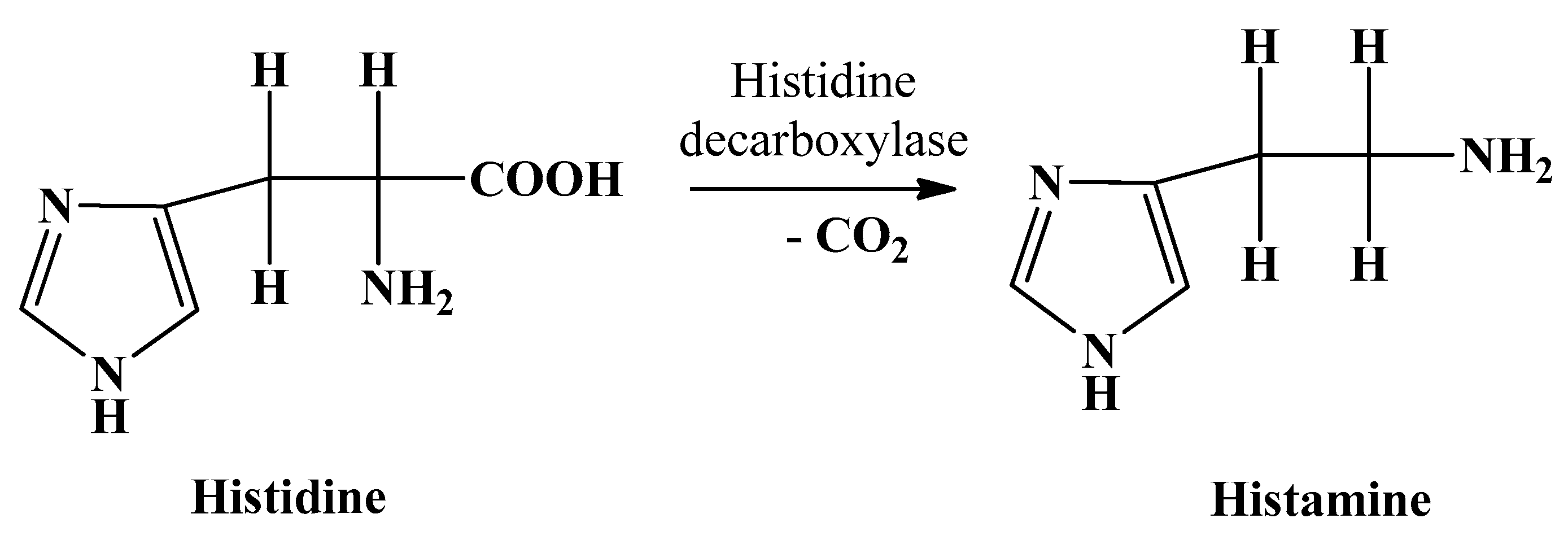 Analytica 04 00007 g001