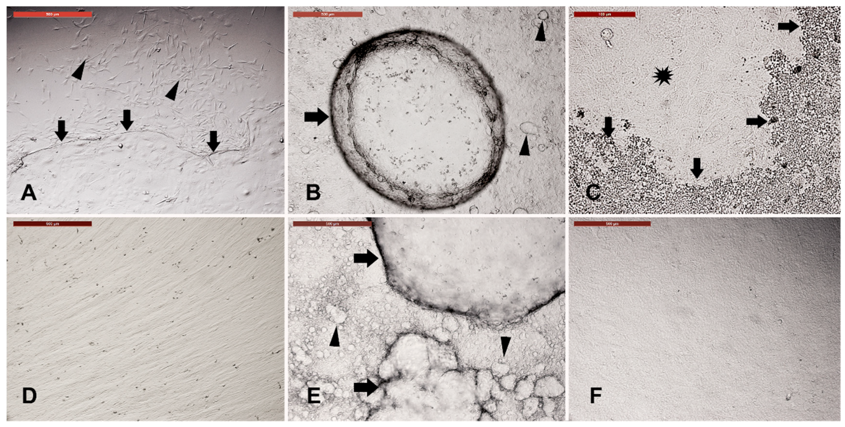 Animals 09 00378 g002 Animals 09 00378 g002