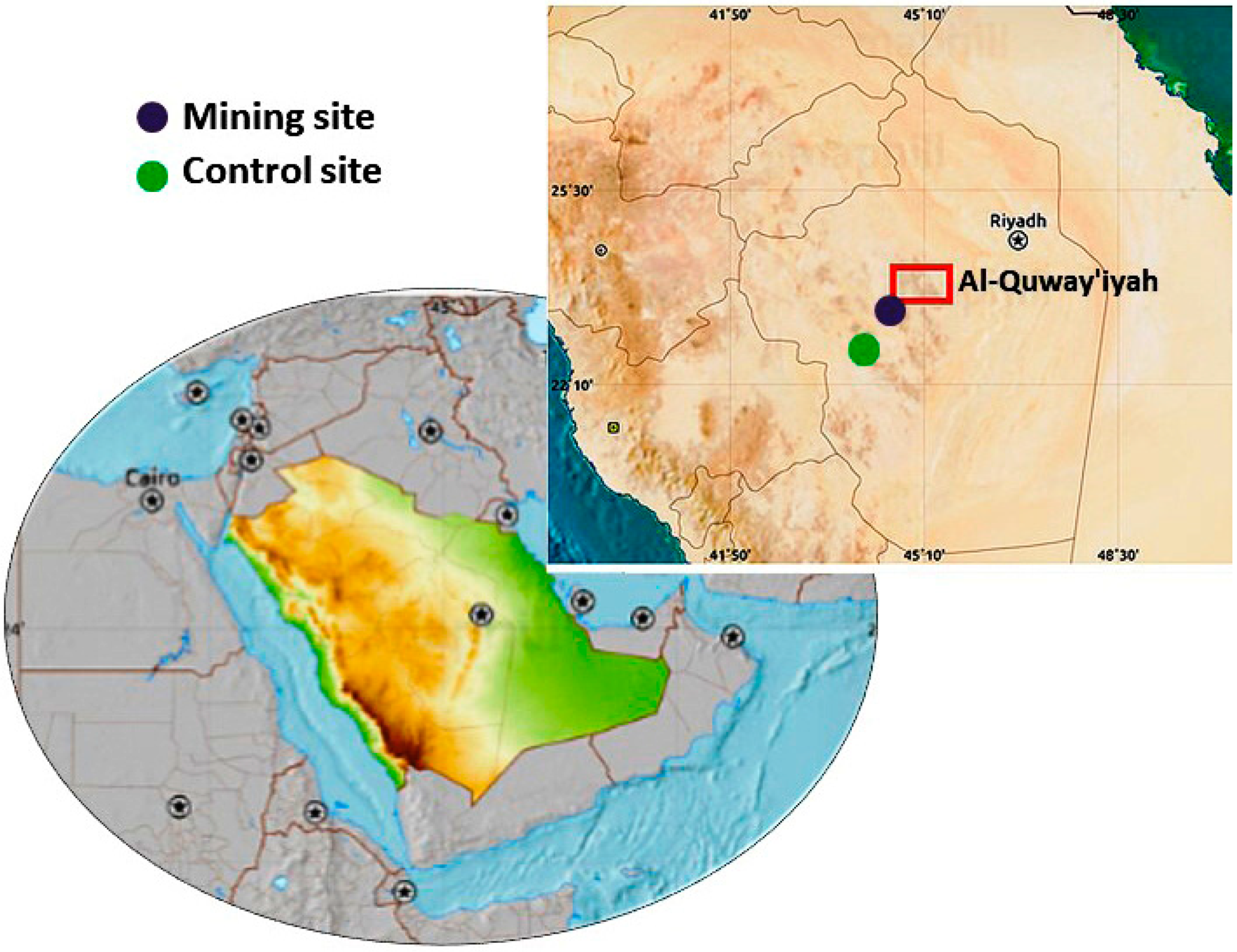 Animals 09 00664 g001