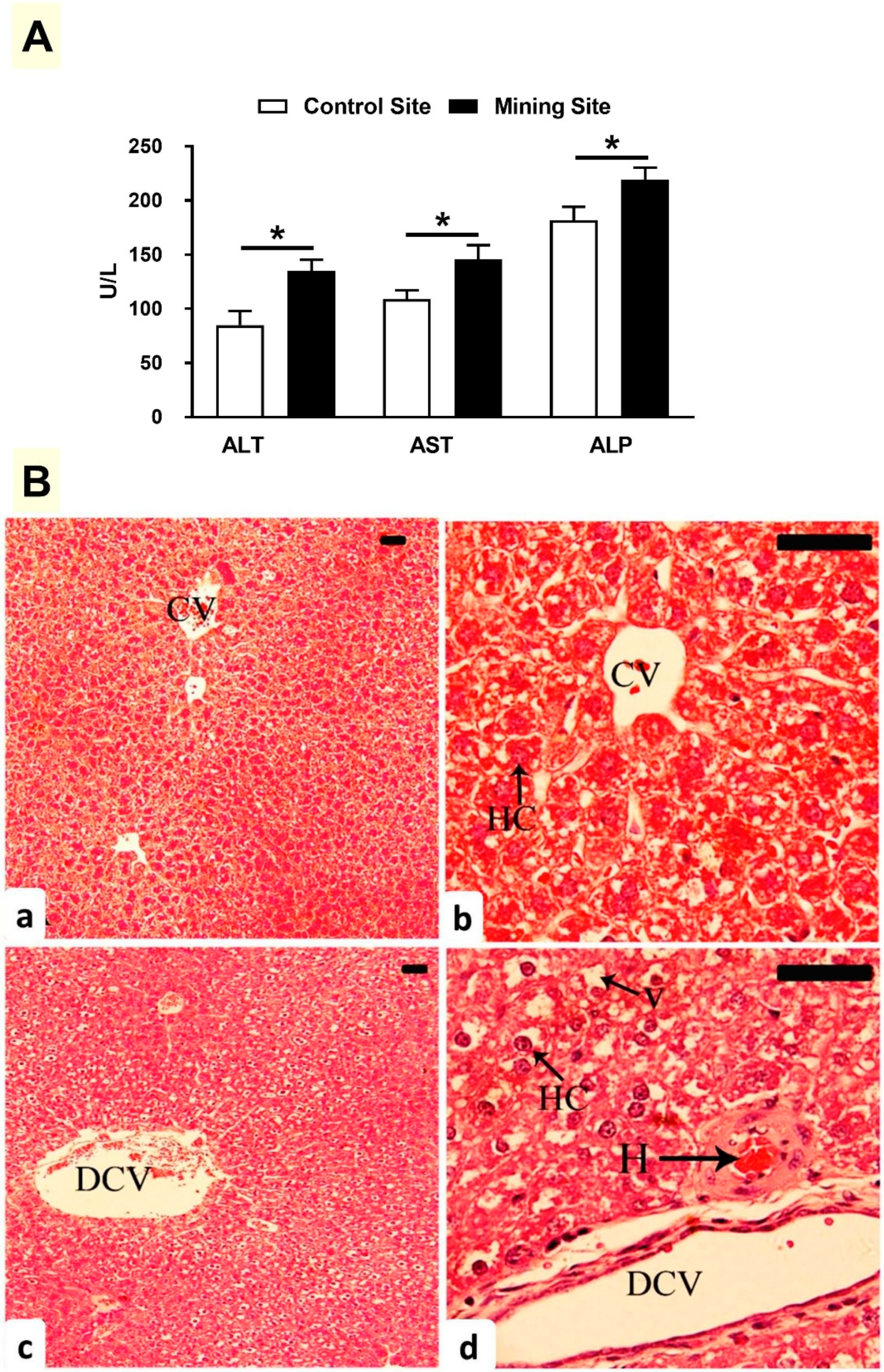 Animals 09 00664 g004