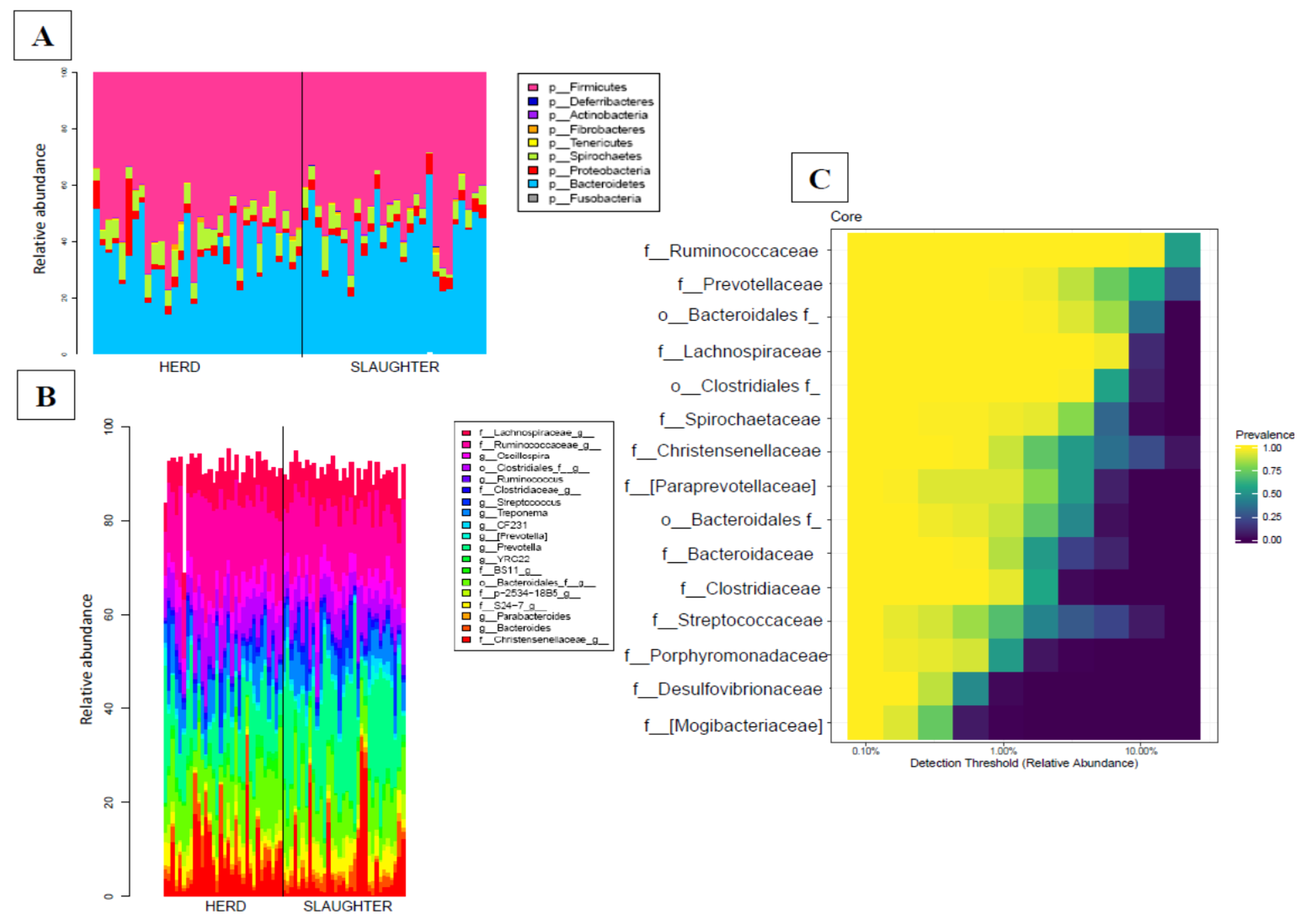 Animals 10 00676 g001